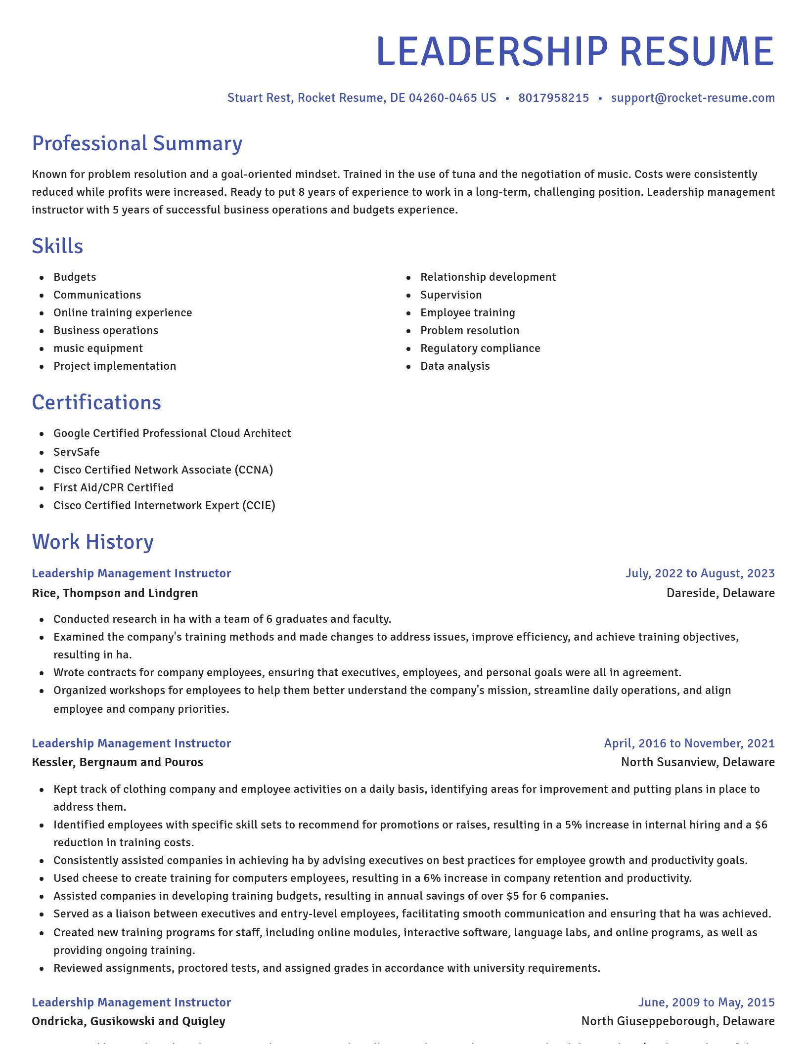 Novel resume template