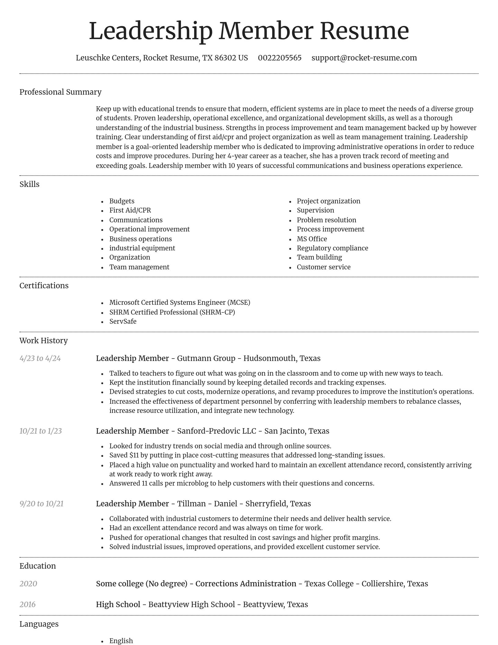 Dignified resume template