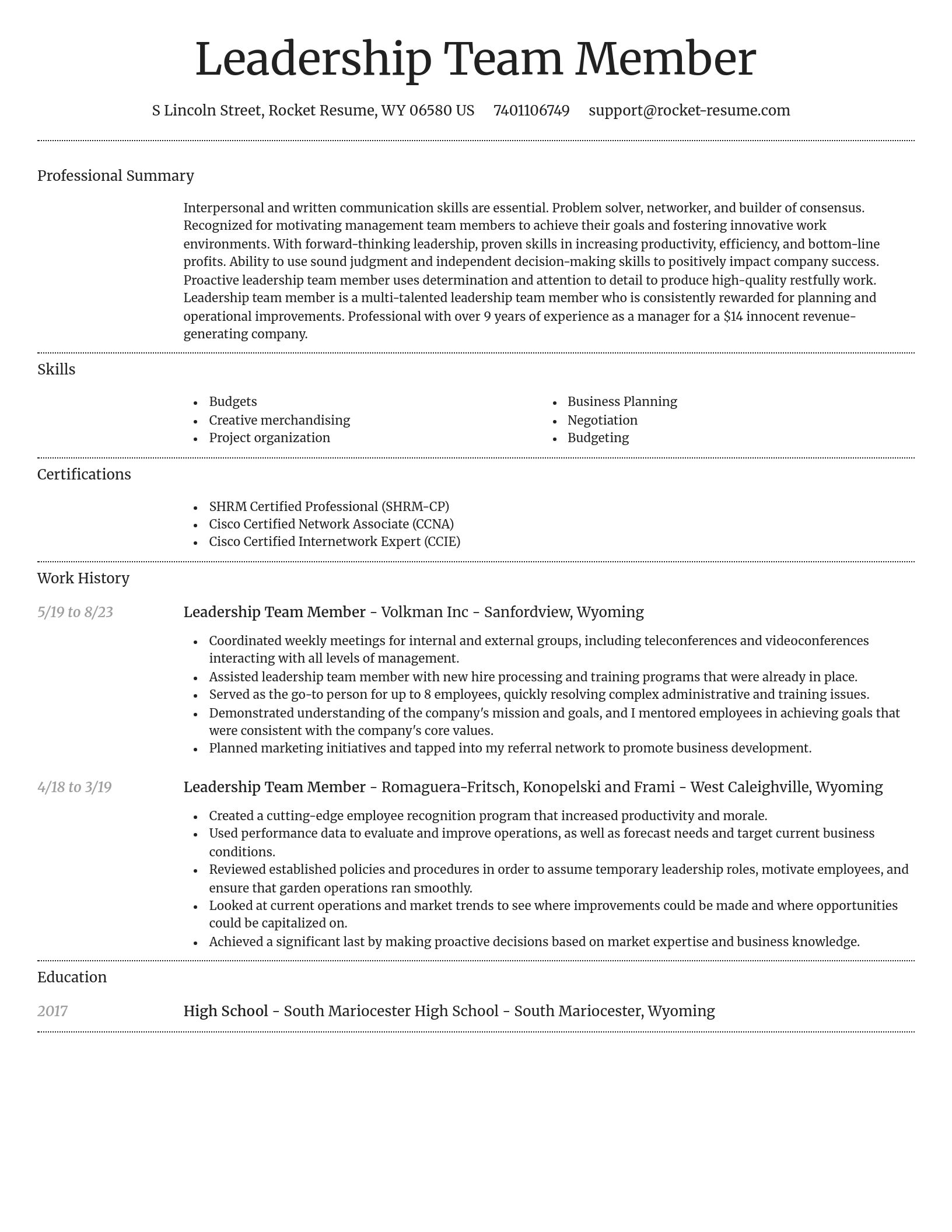 Dignified resume template