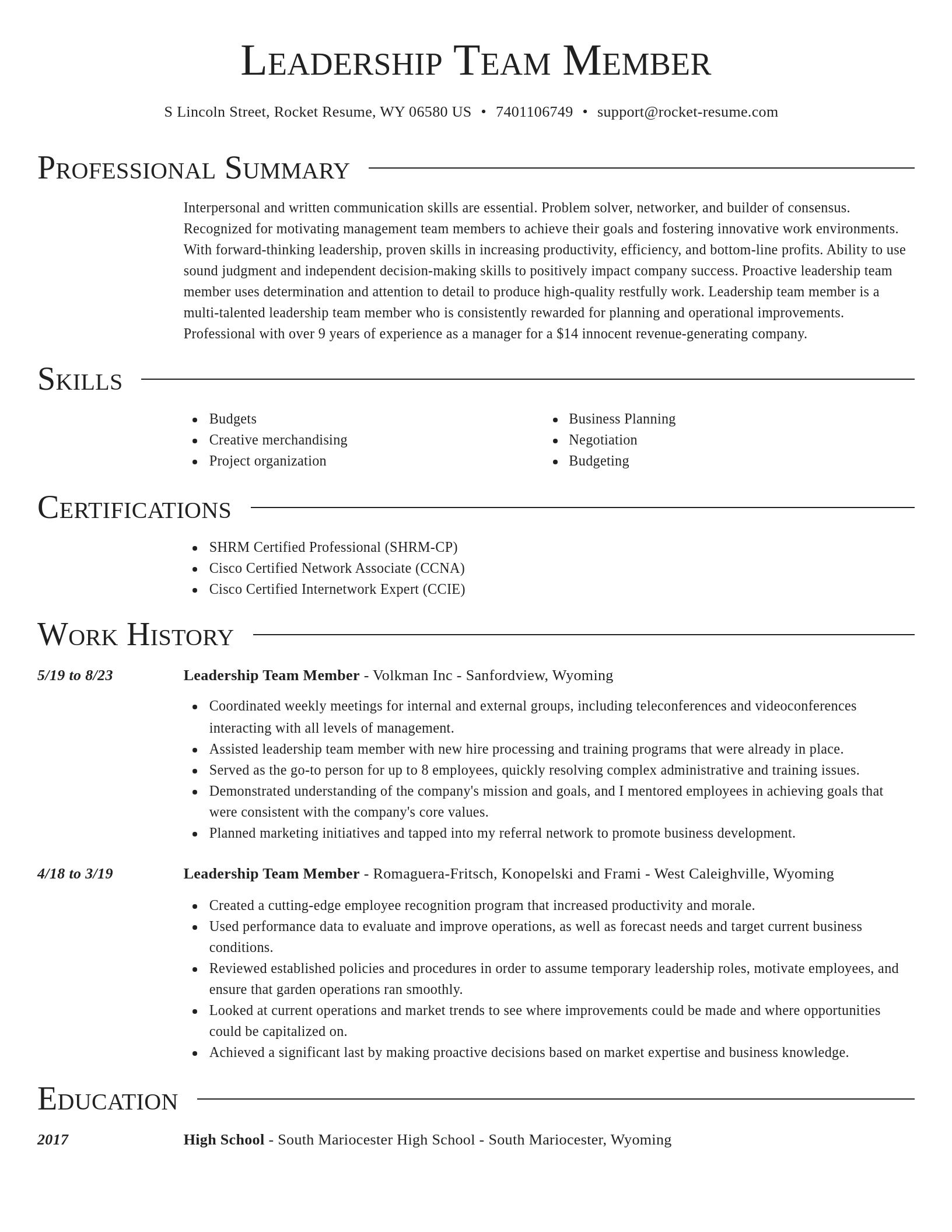 Director resume template