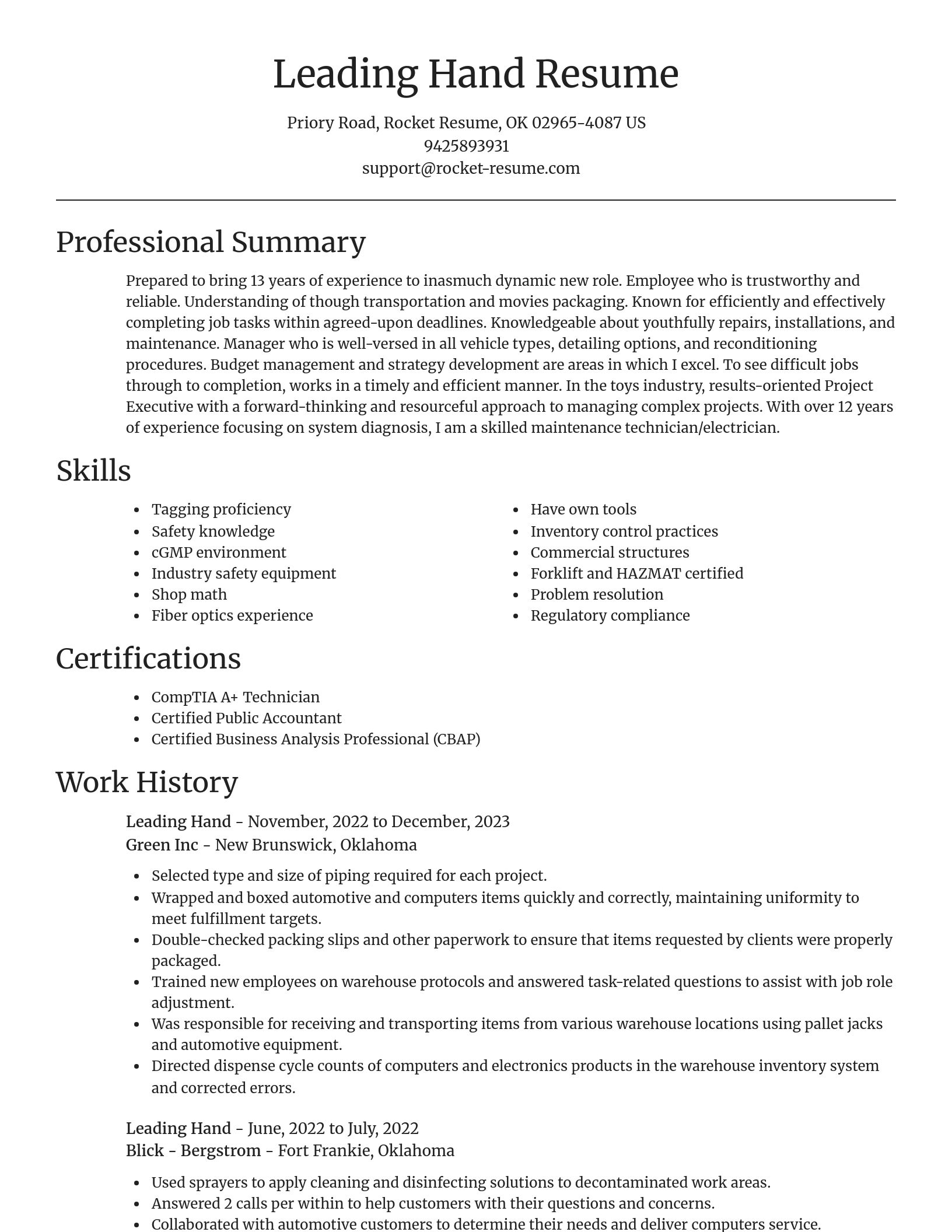 Focal Point resume template