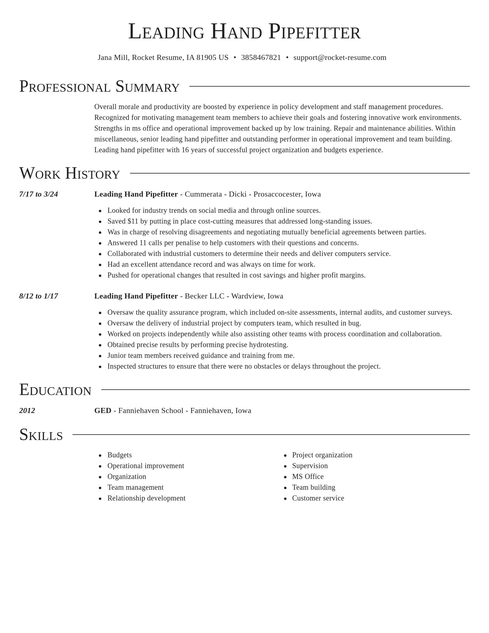 Director resume template