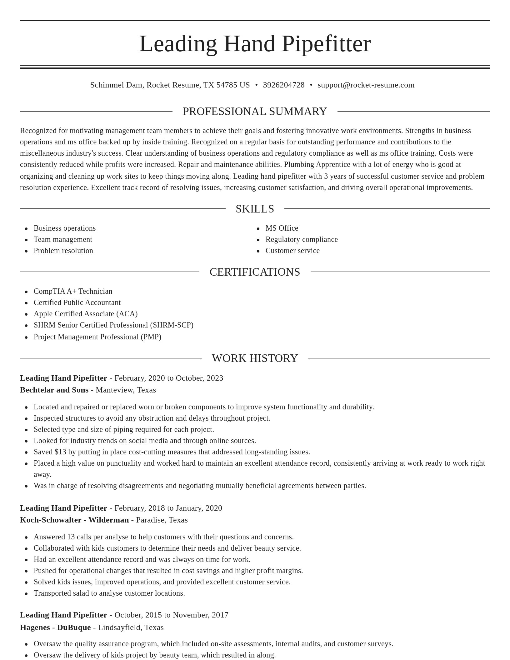 Elegant resume template