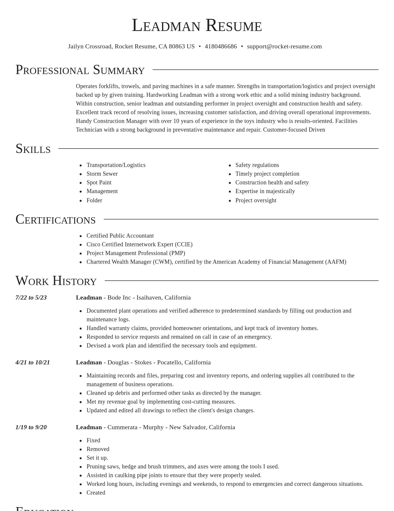 Director resume template