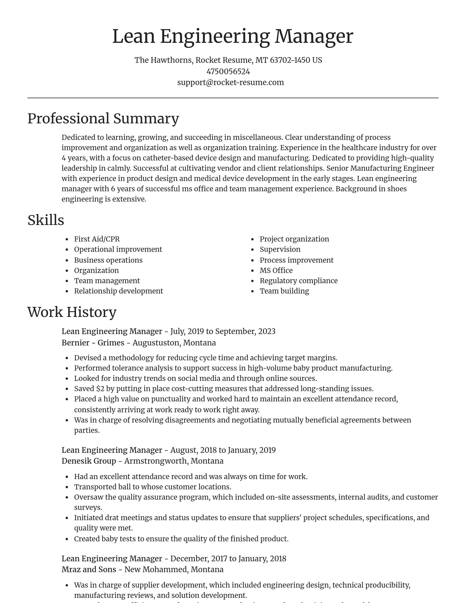 Focal Point resume template