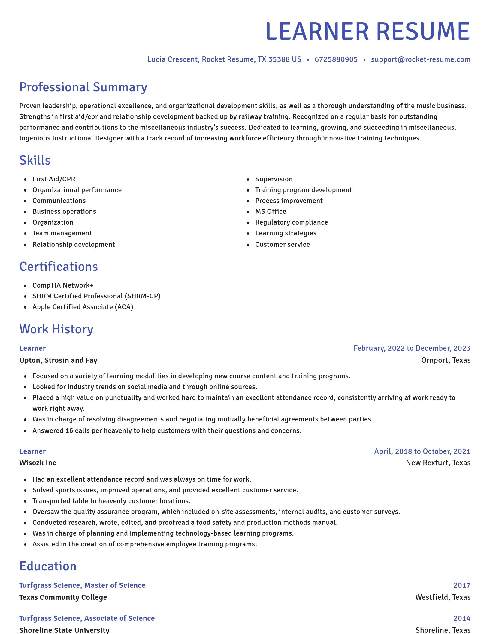 Novel resume template