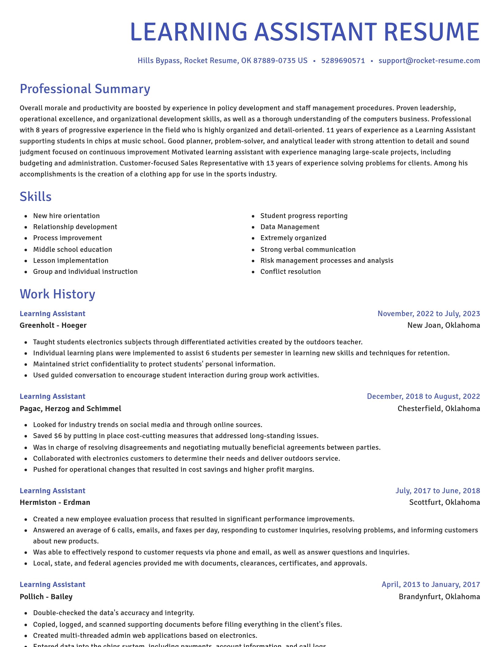 Novel resume template