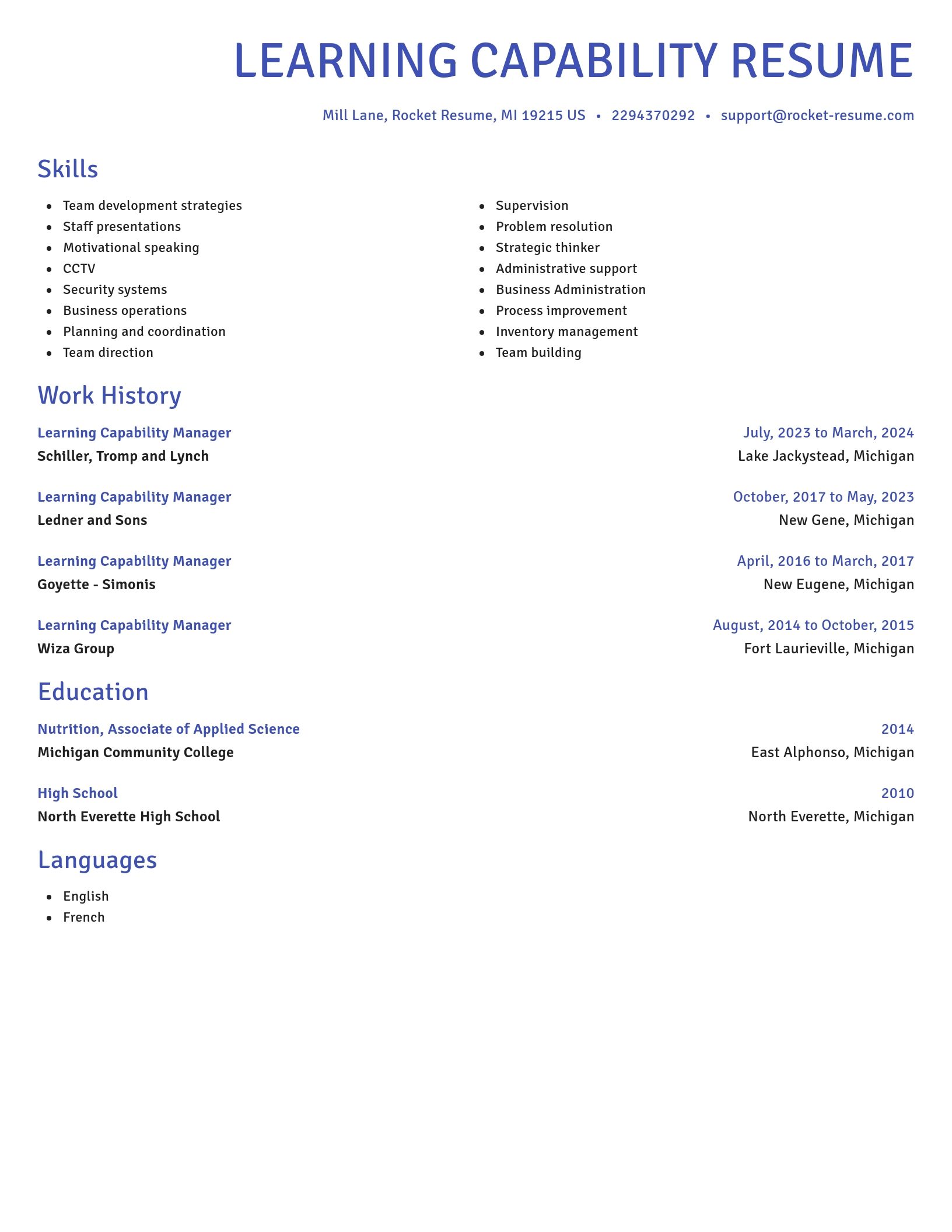 Novel resume template