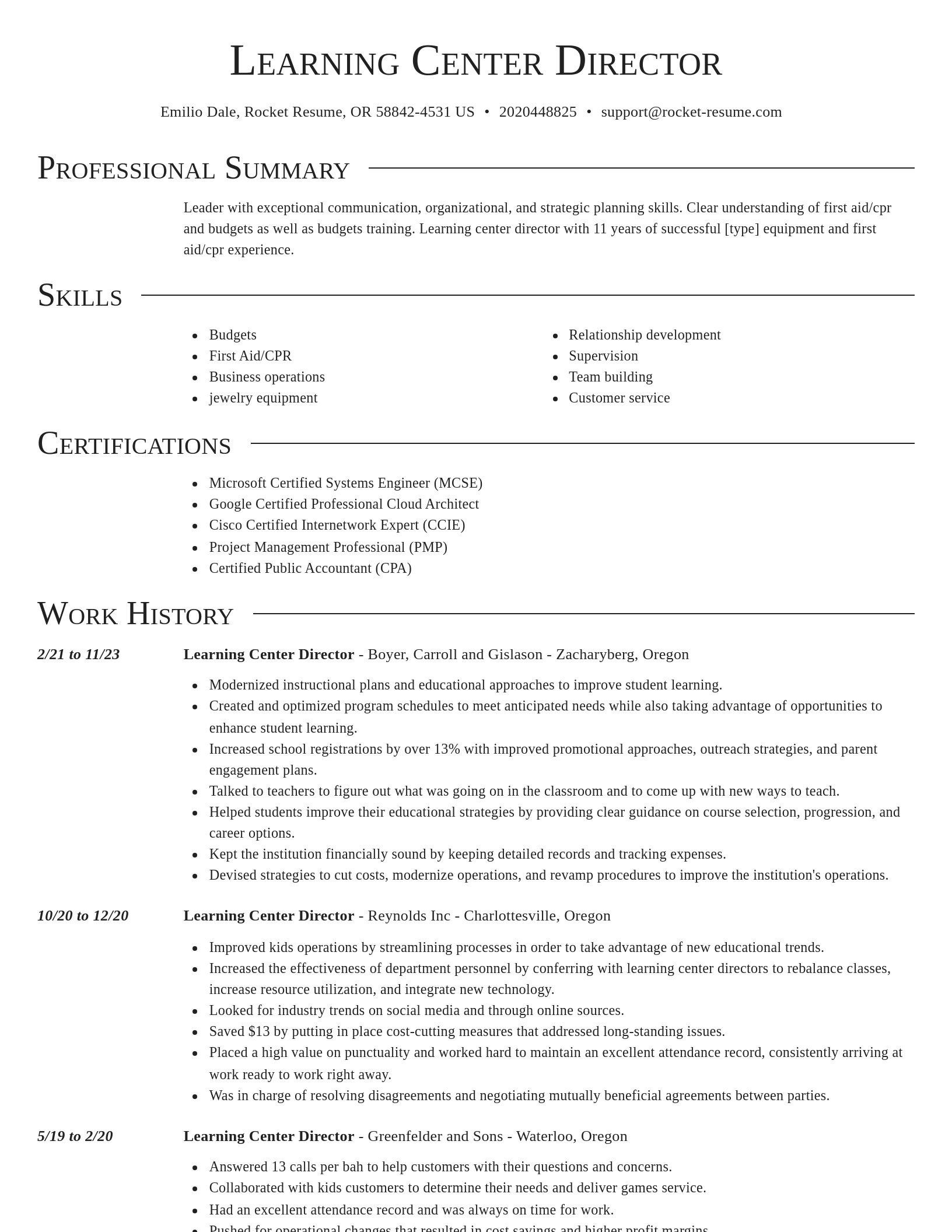 Director resume template