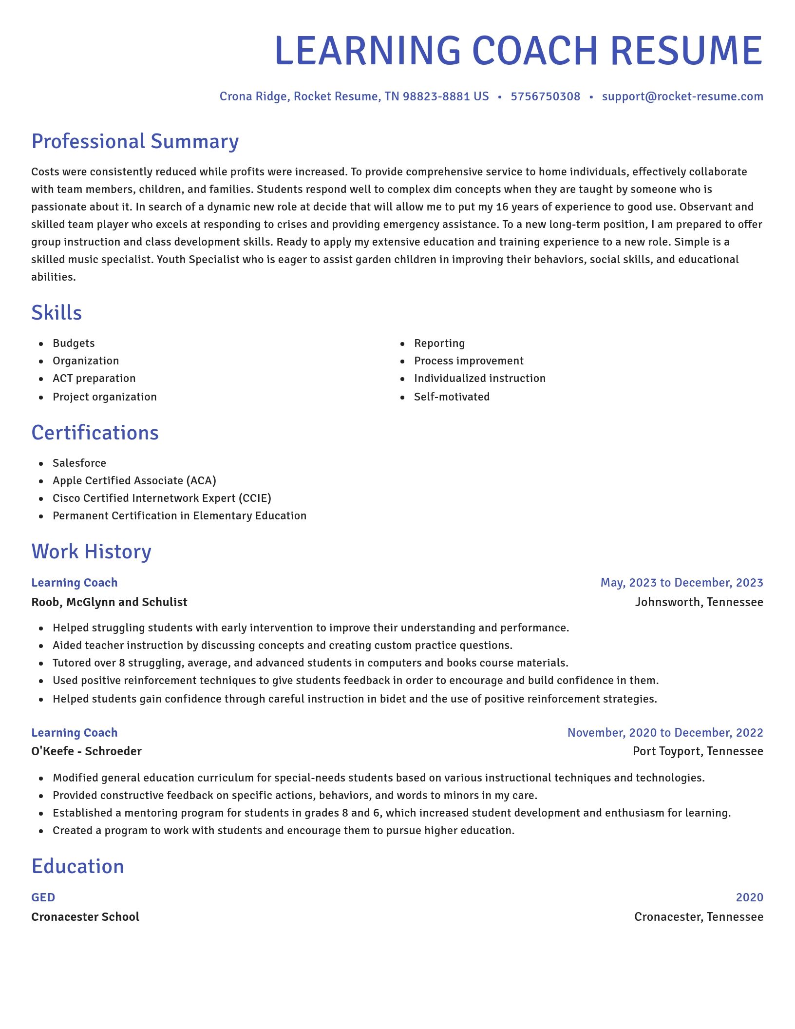 Novel resume template