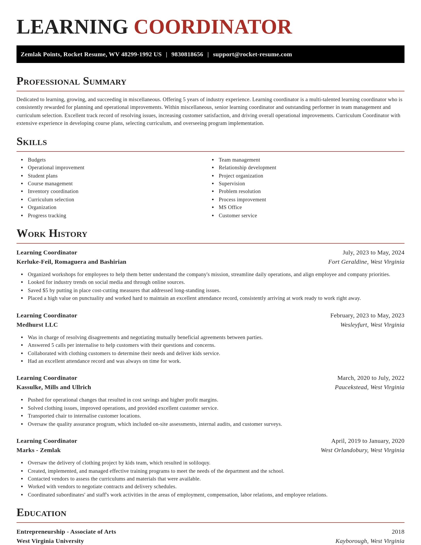 Exquisite resume template