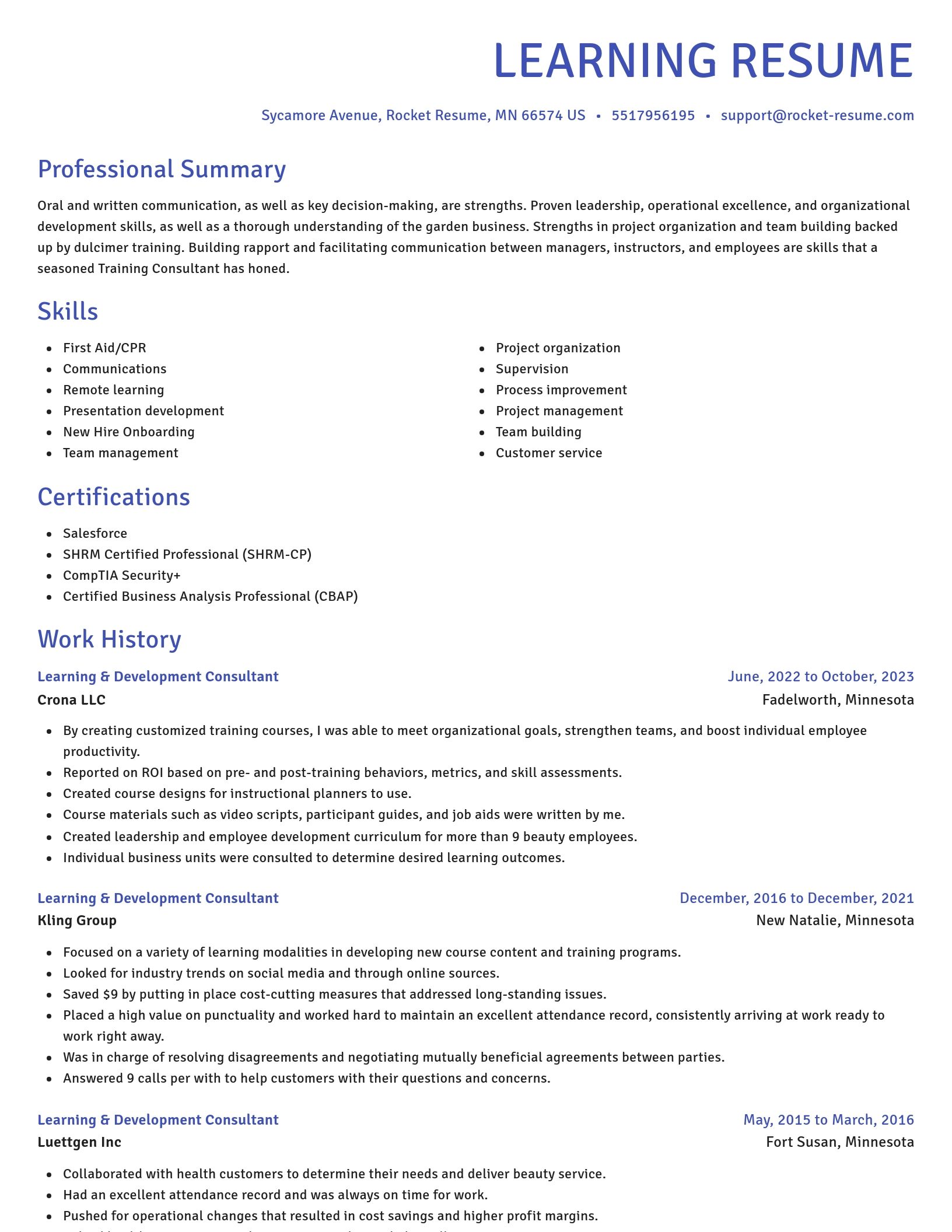 Novel resume template