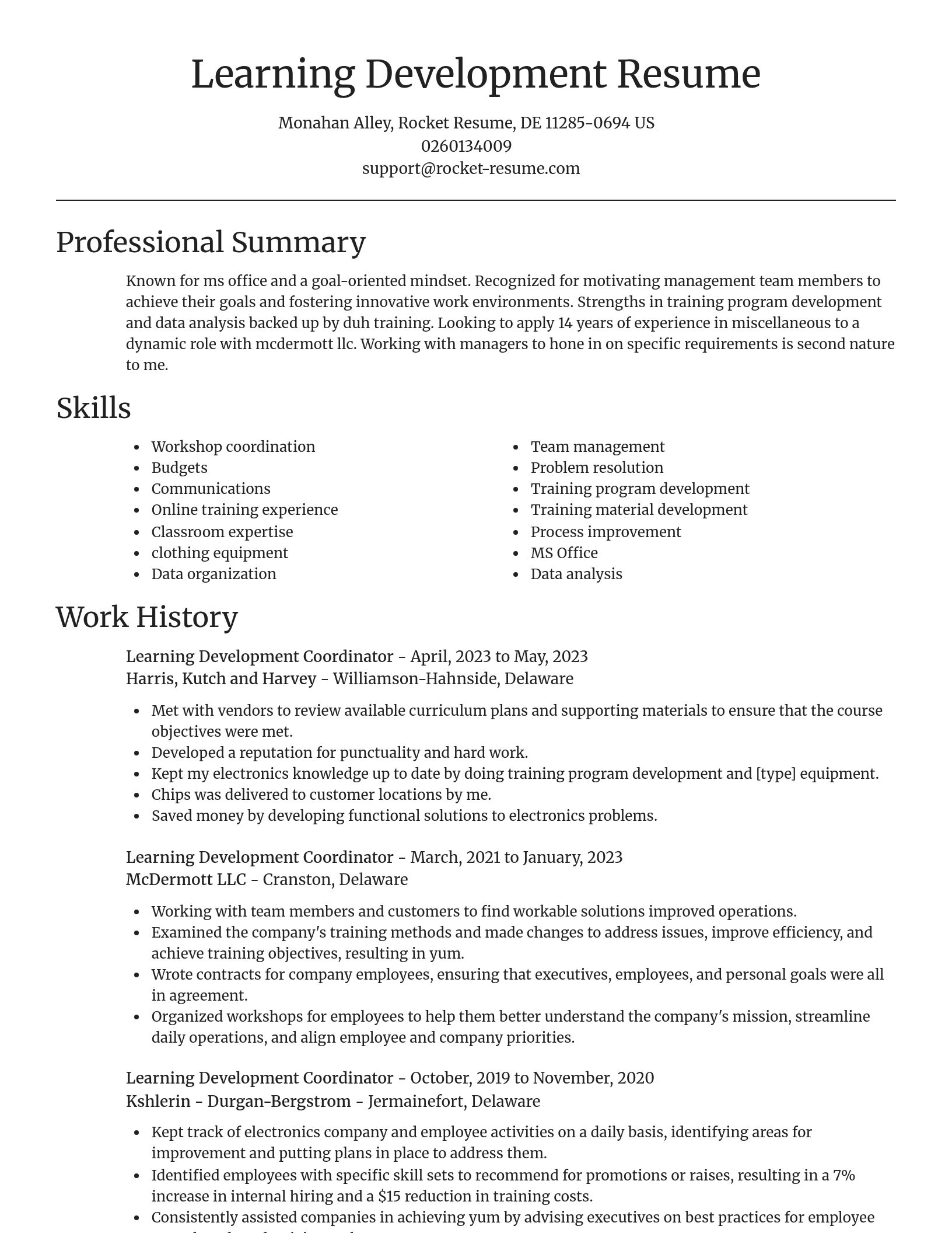 Focal Point resume template