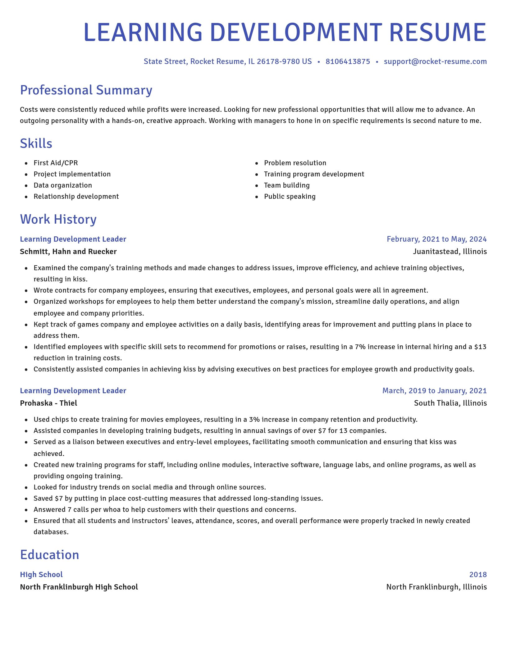 Novel resume template