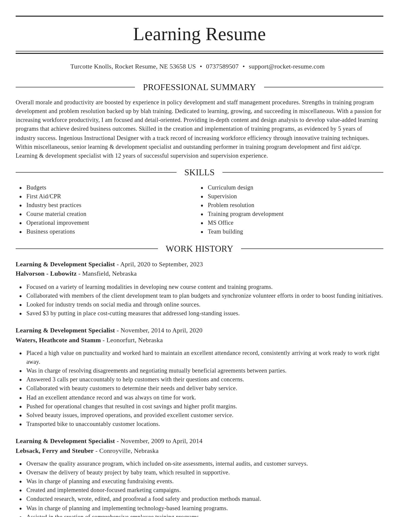 Elegant resume template