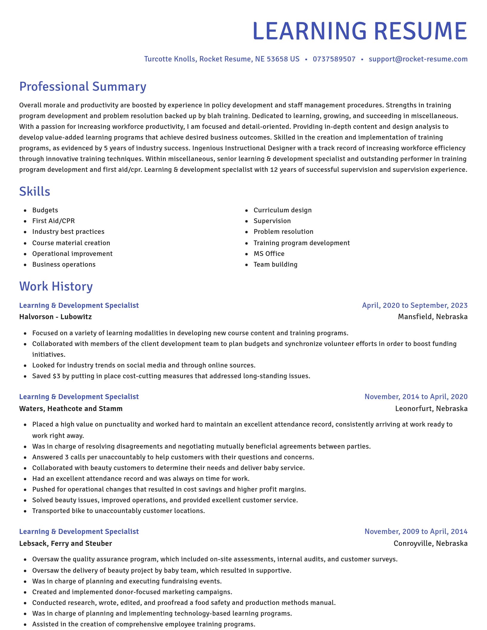 Novel resume template