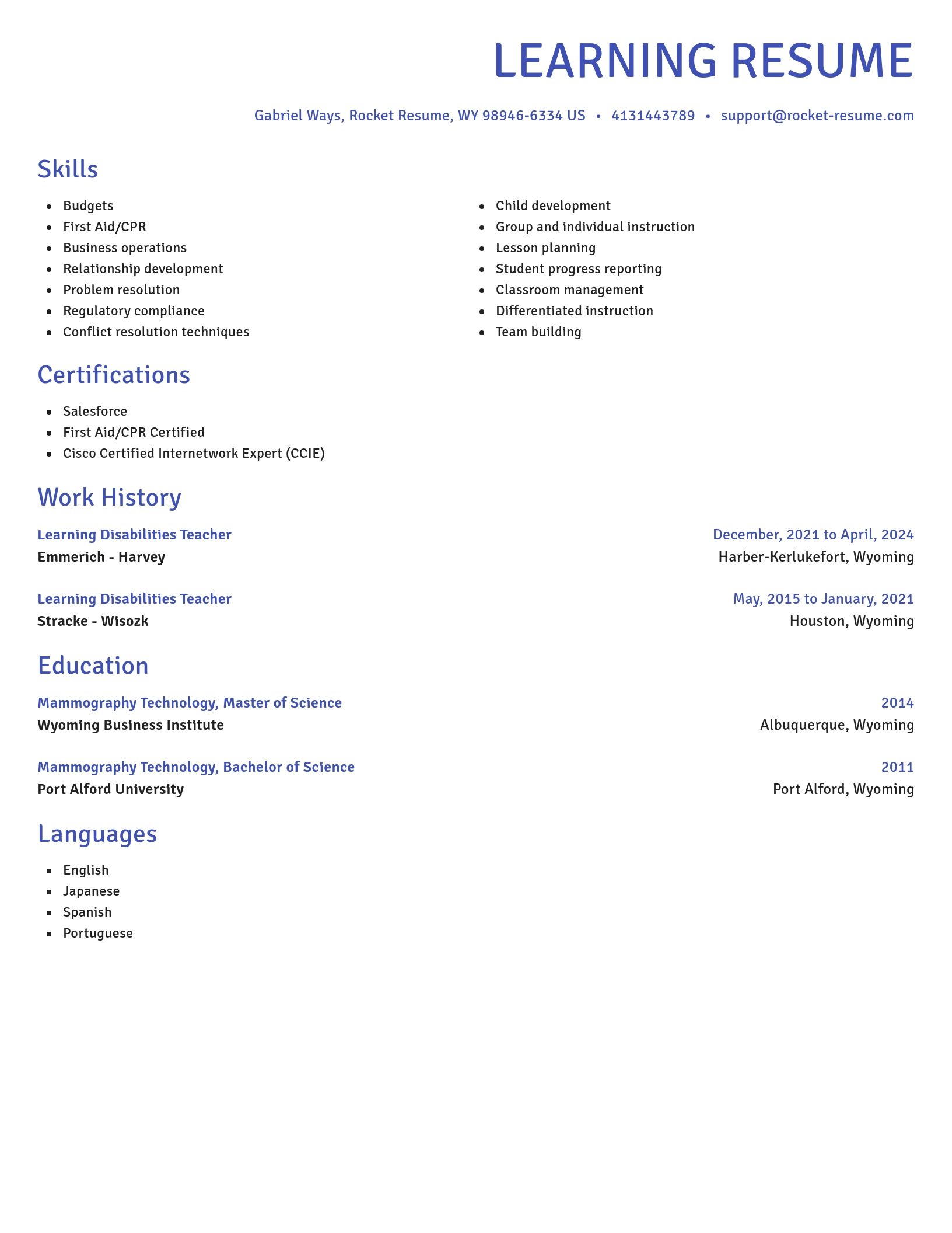 Novel resume template