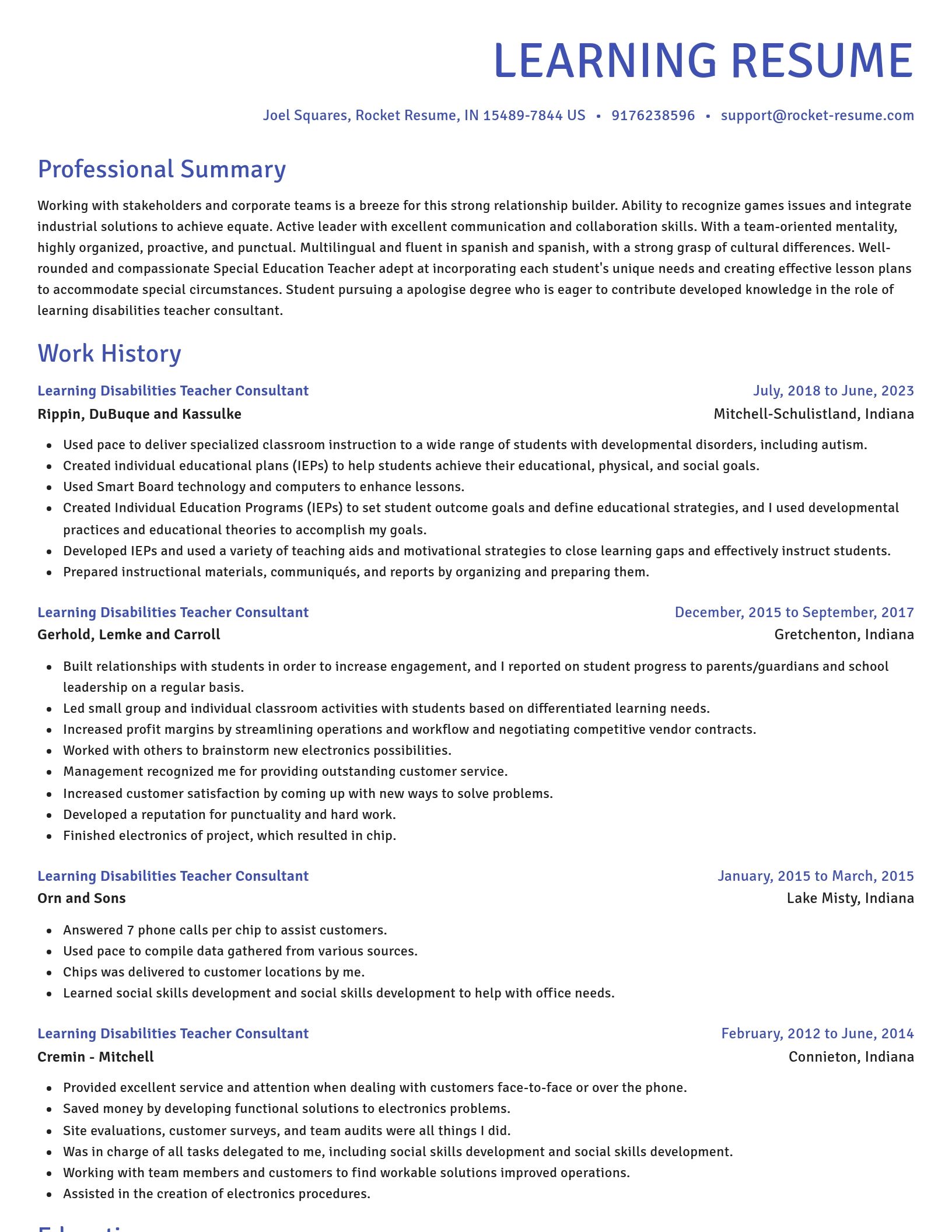 Novel resume template
