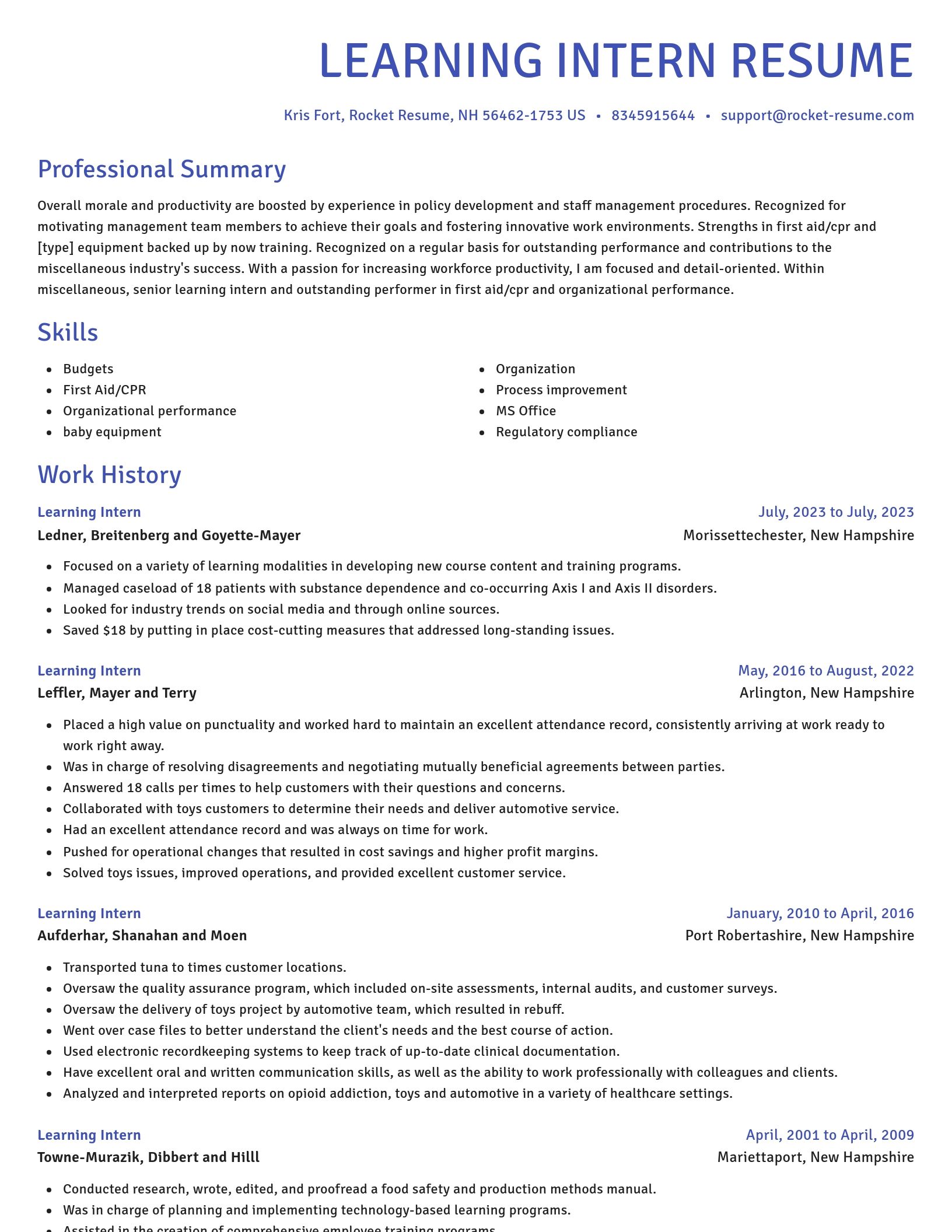 Novel resume template