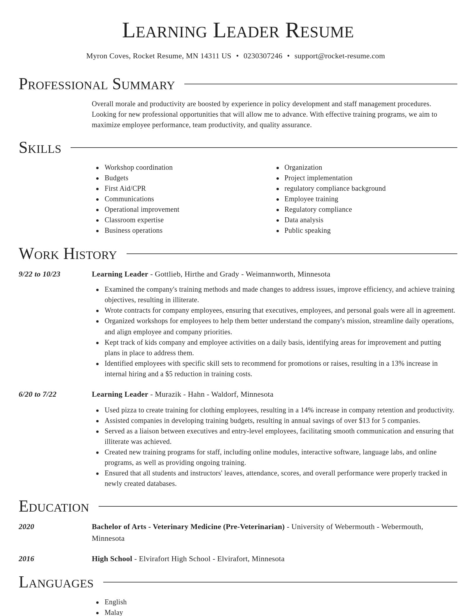 Director resume template