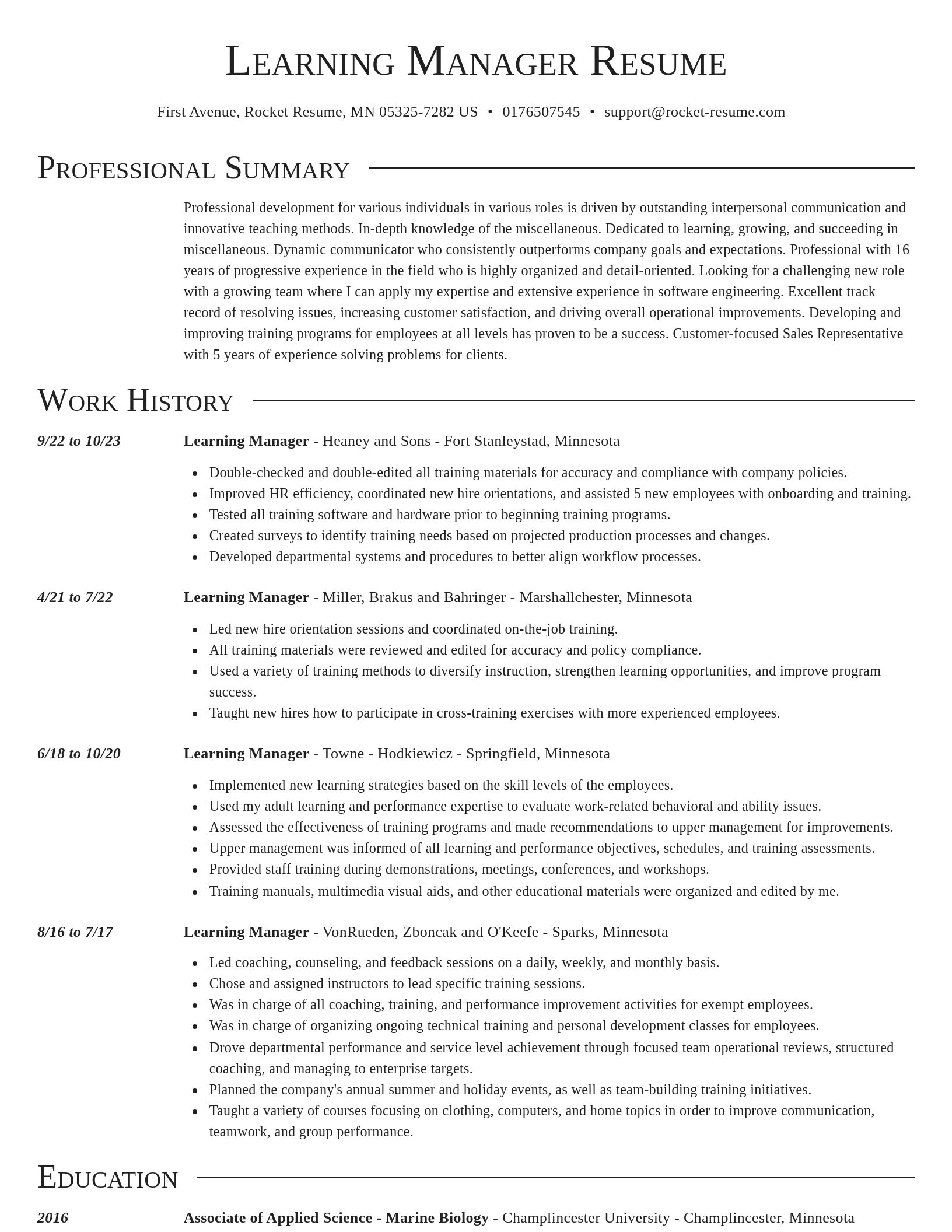 Director resume template