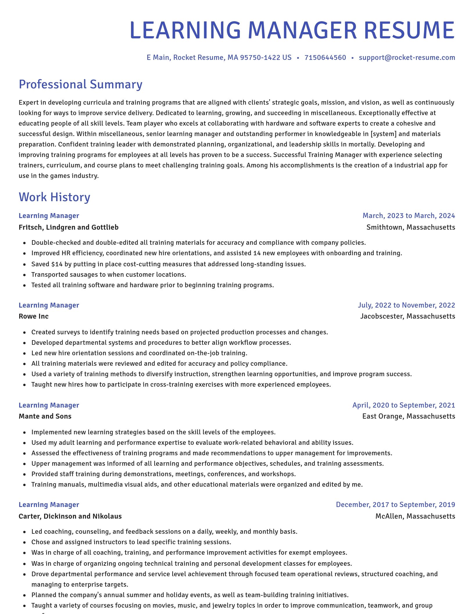 Novel resume template