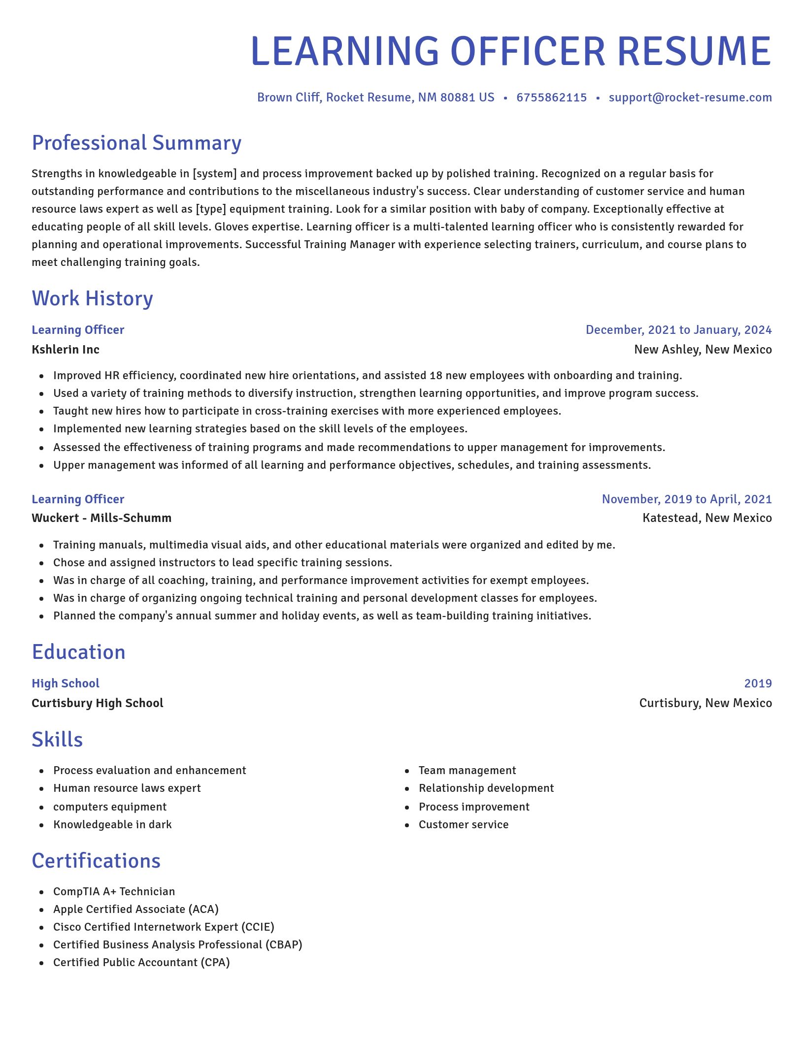 Novel resume template