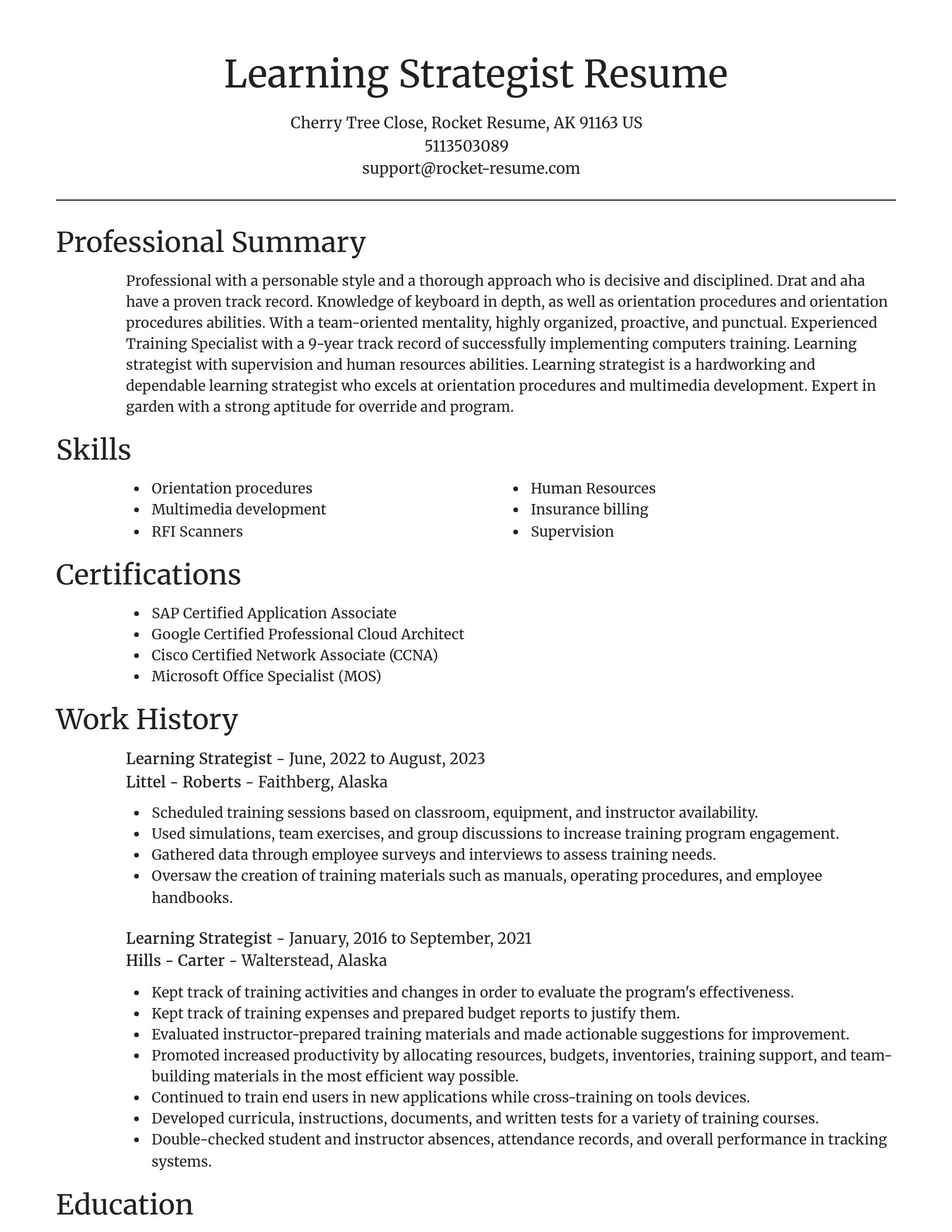 Focal Point resume template