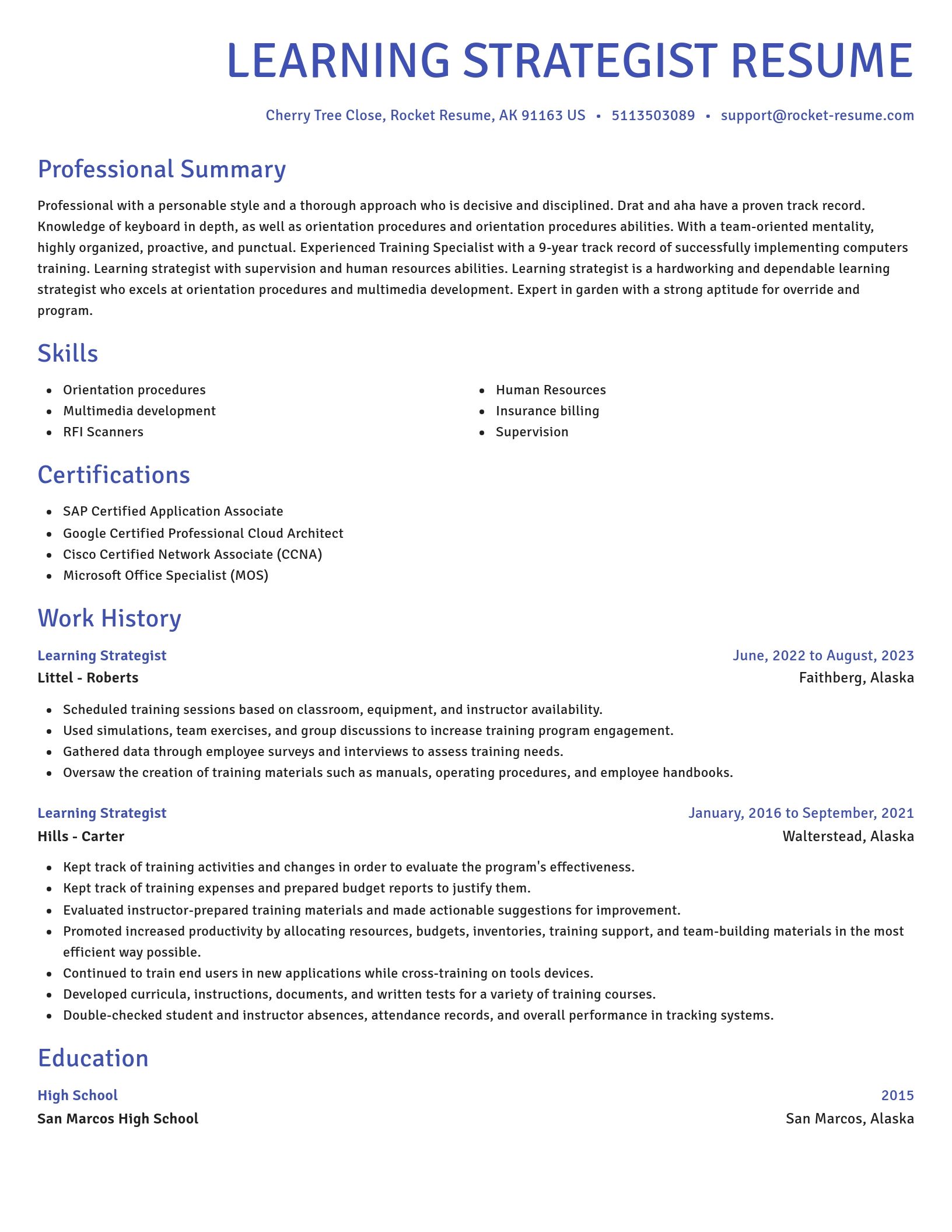 Novel resume template
