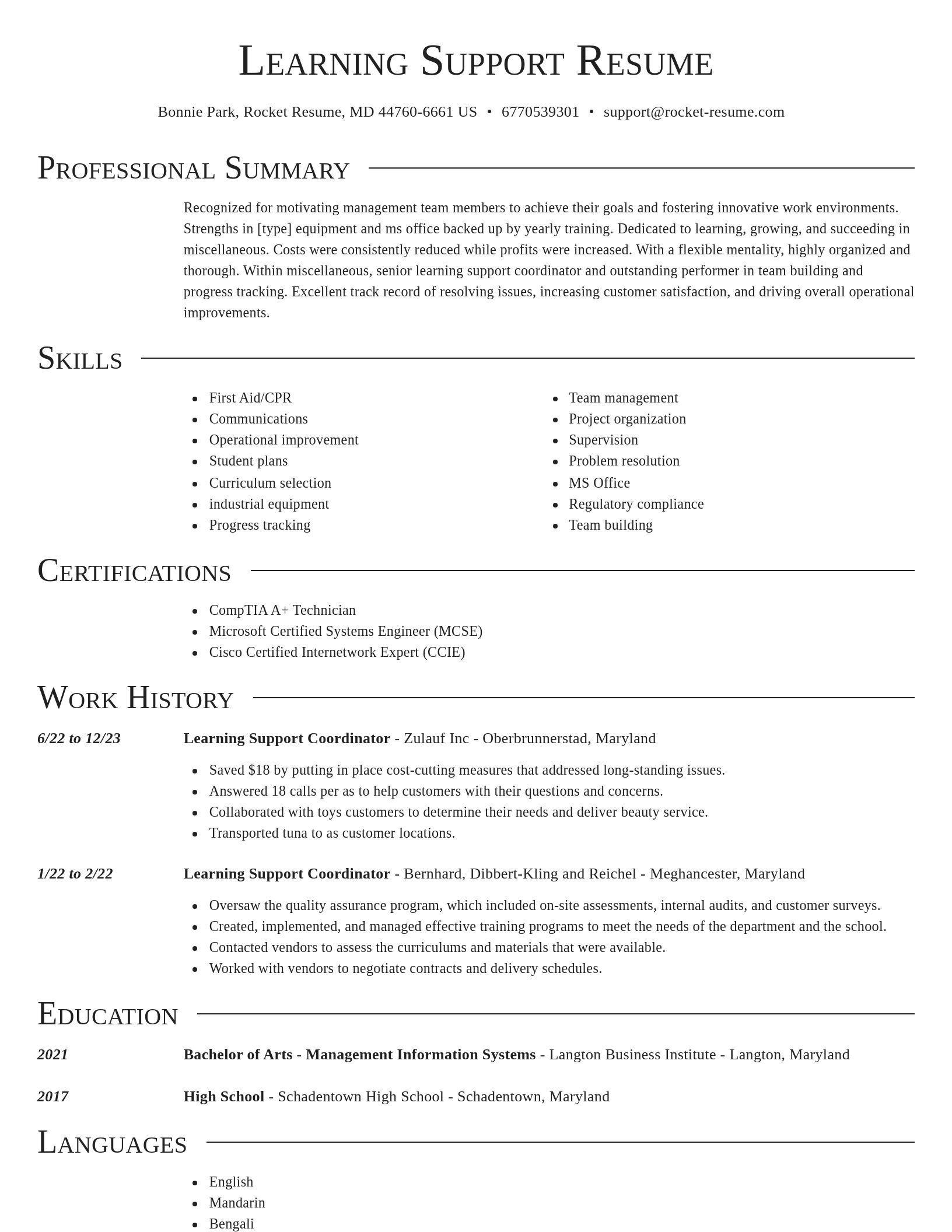 Director resume template