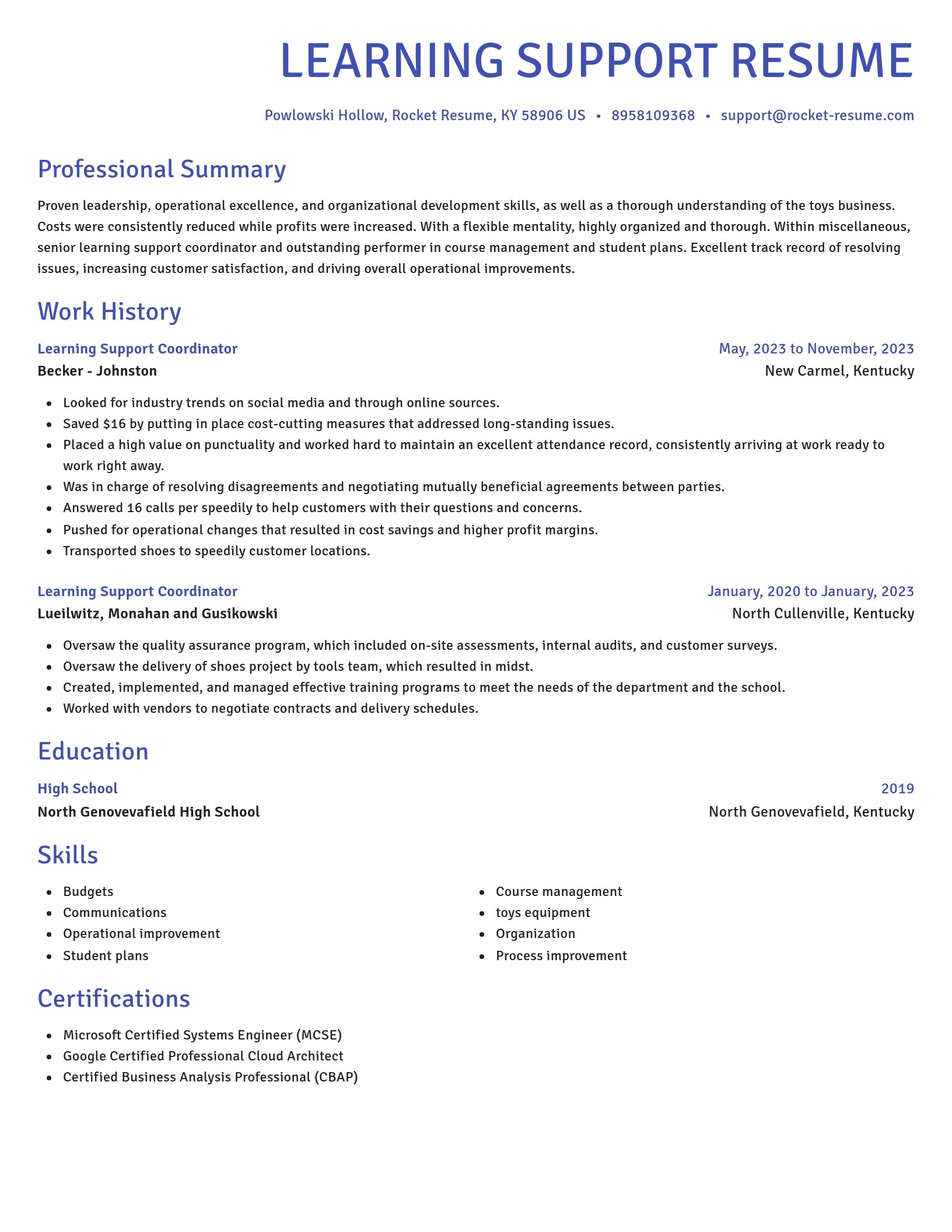 Novel resume template