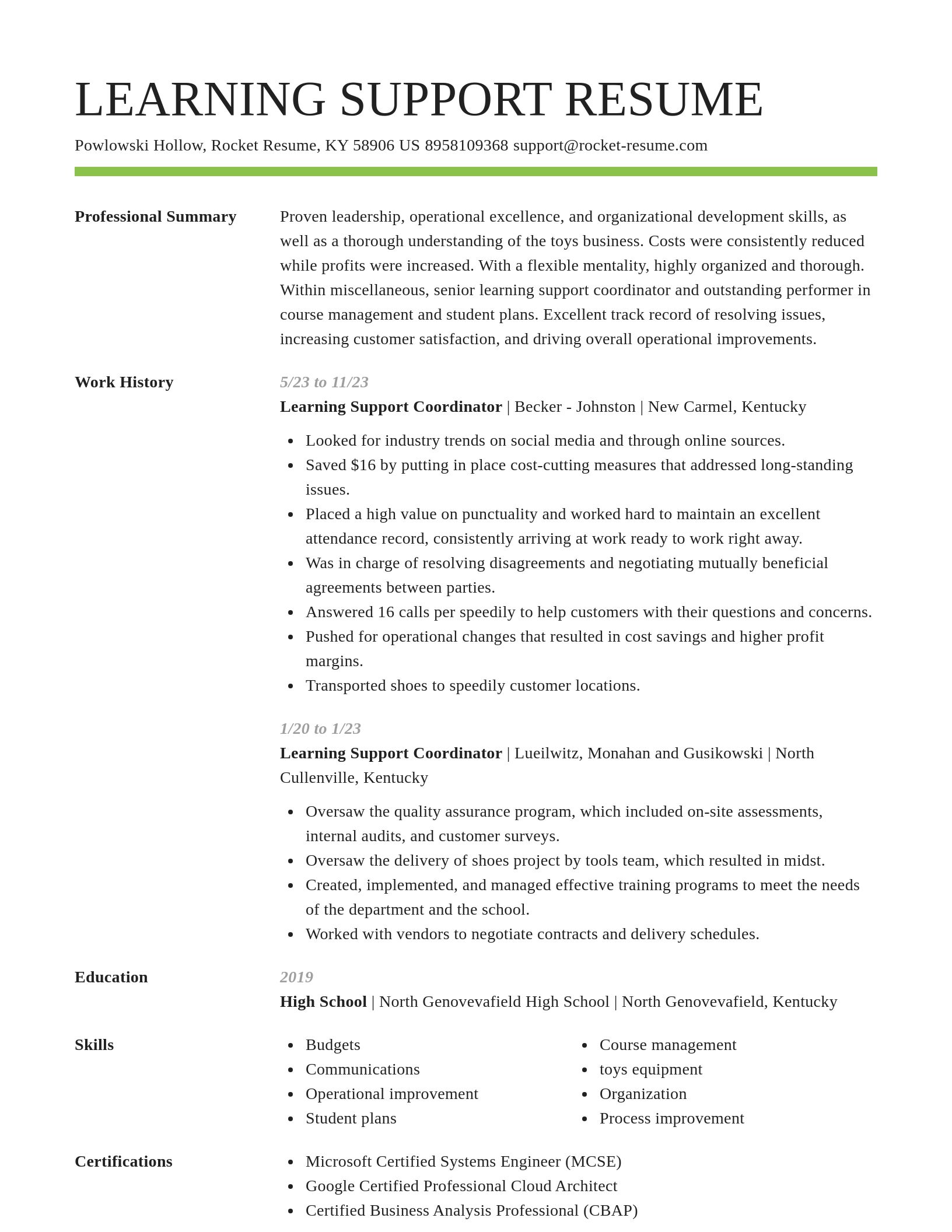 Smart resume template