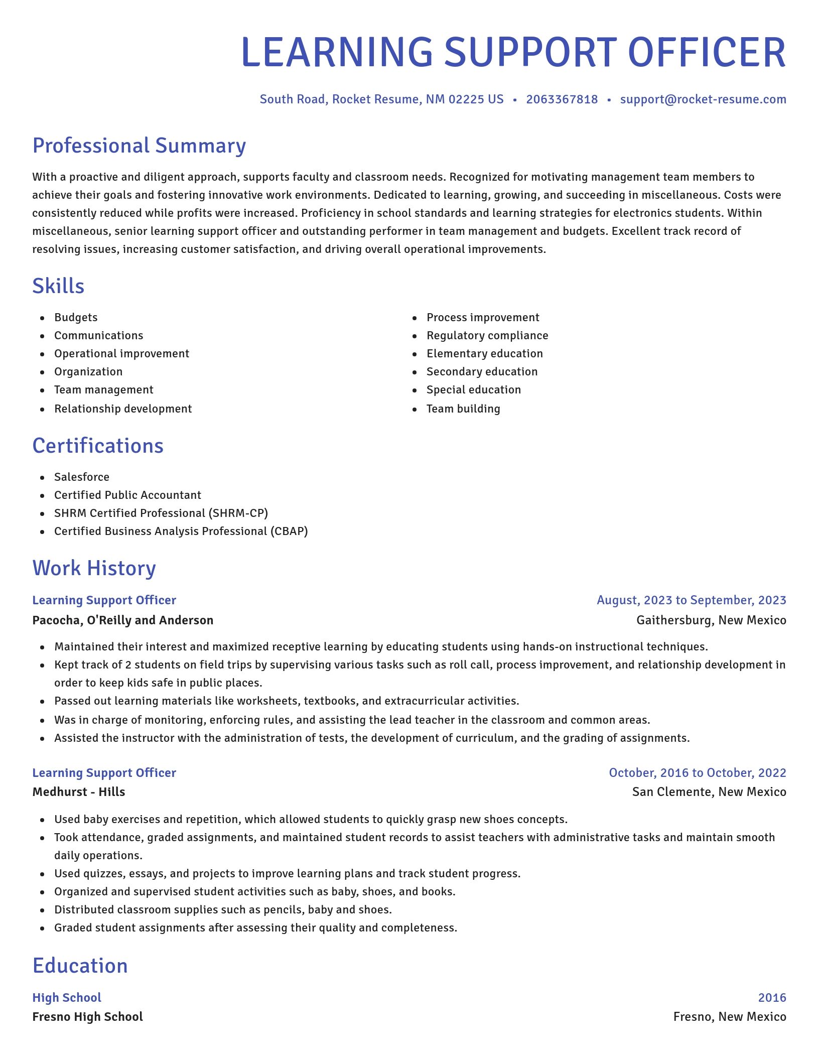 Novel resume template