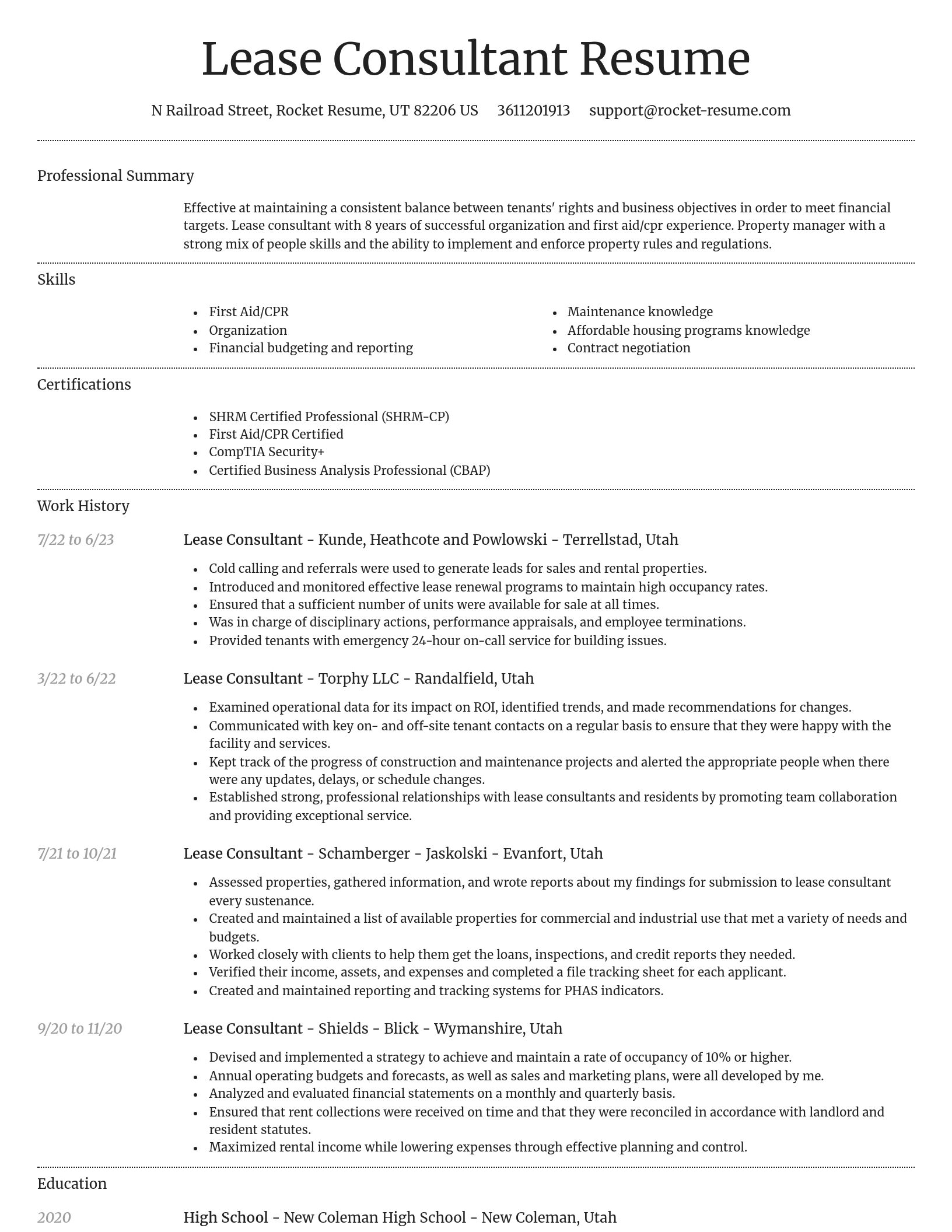 Dignified resume template