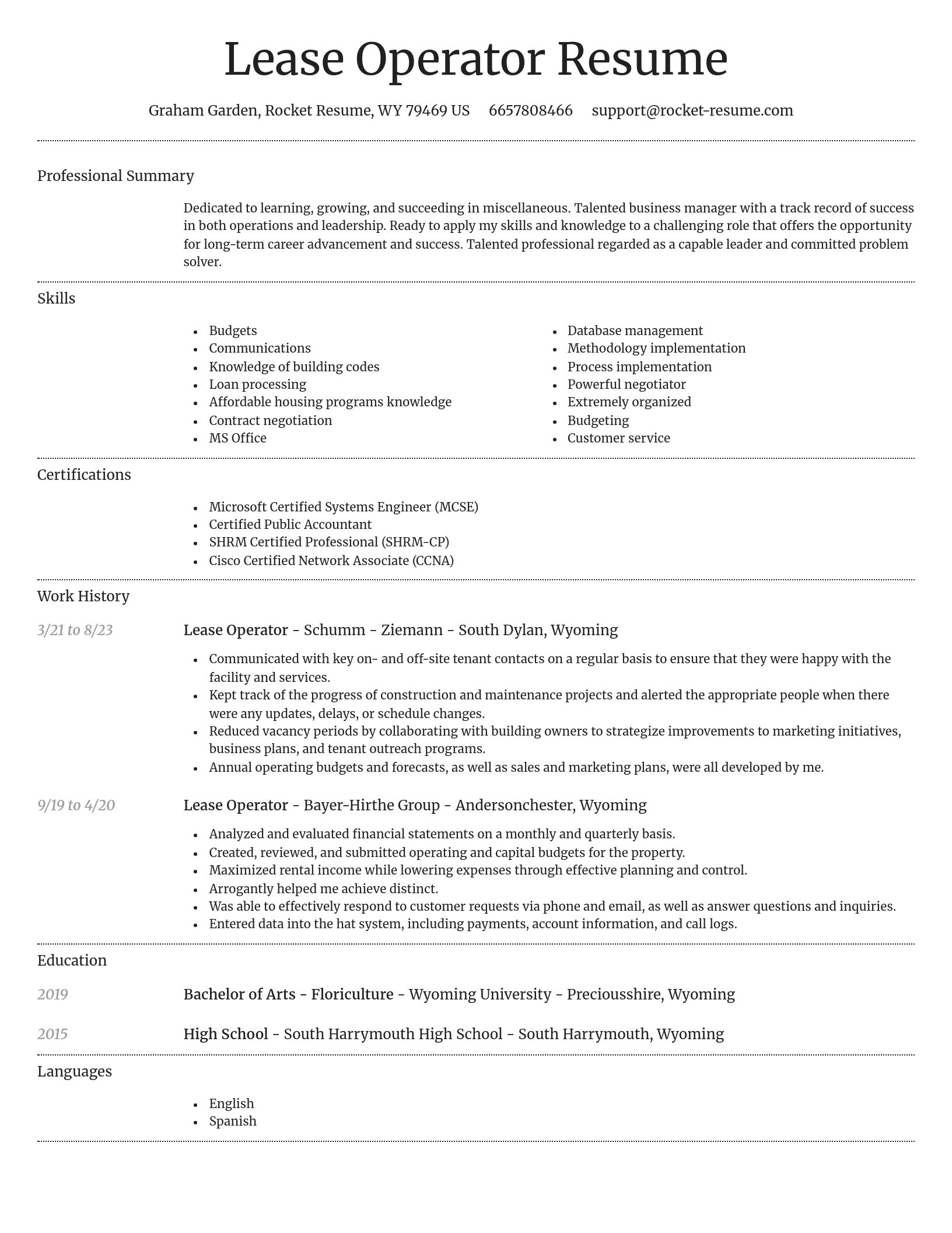 Dignified resume template