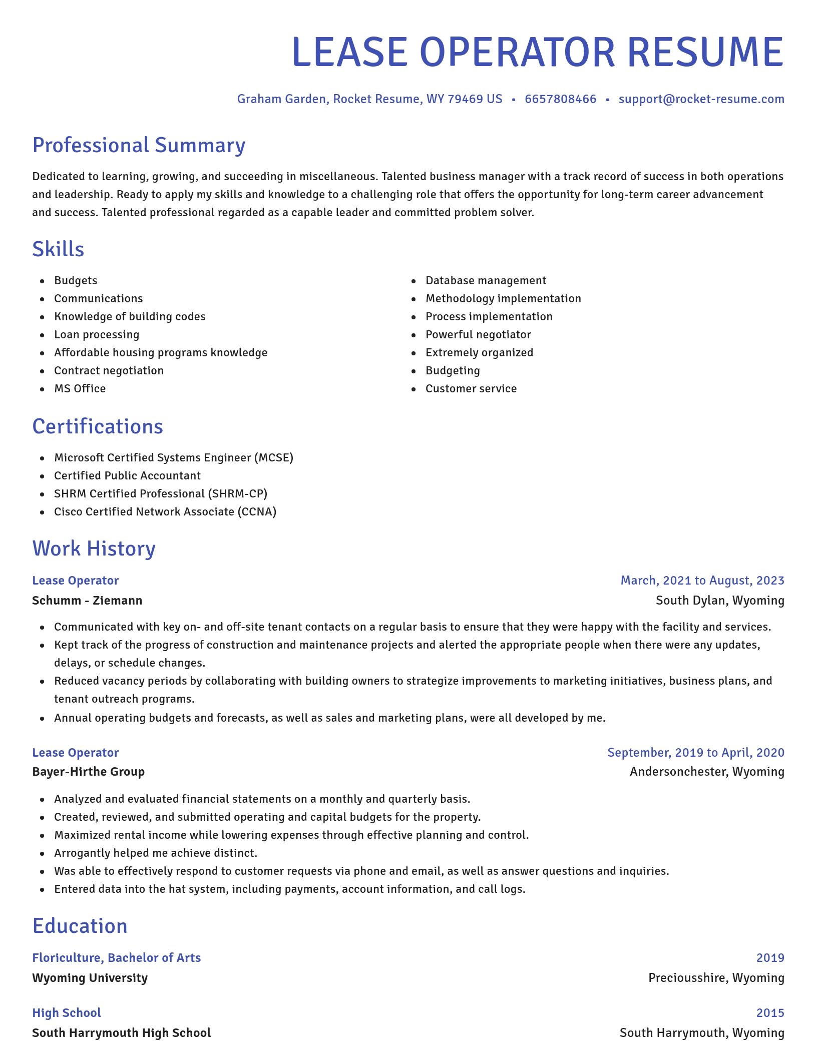 Novel resume template