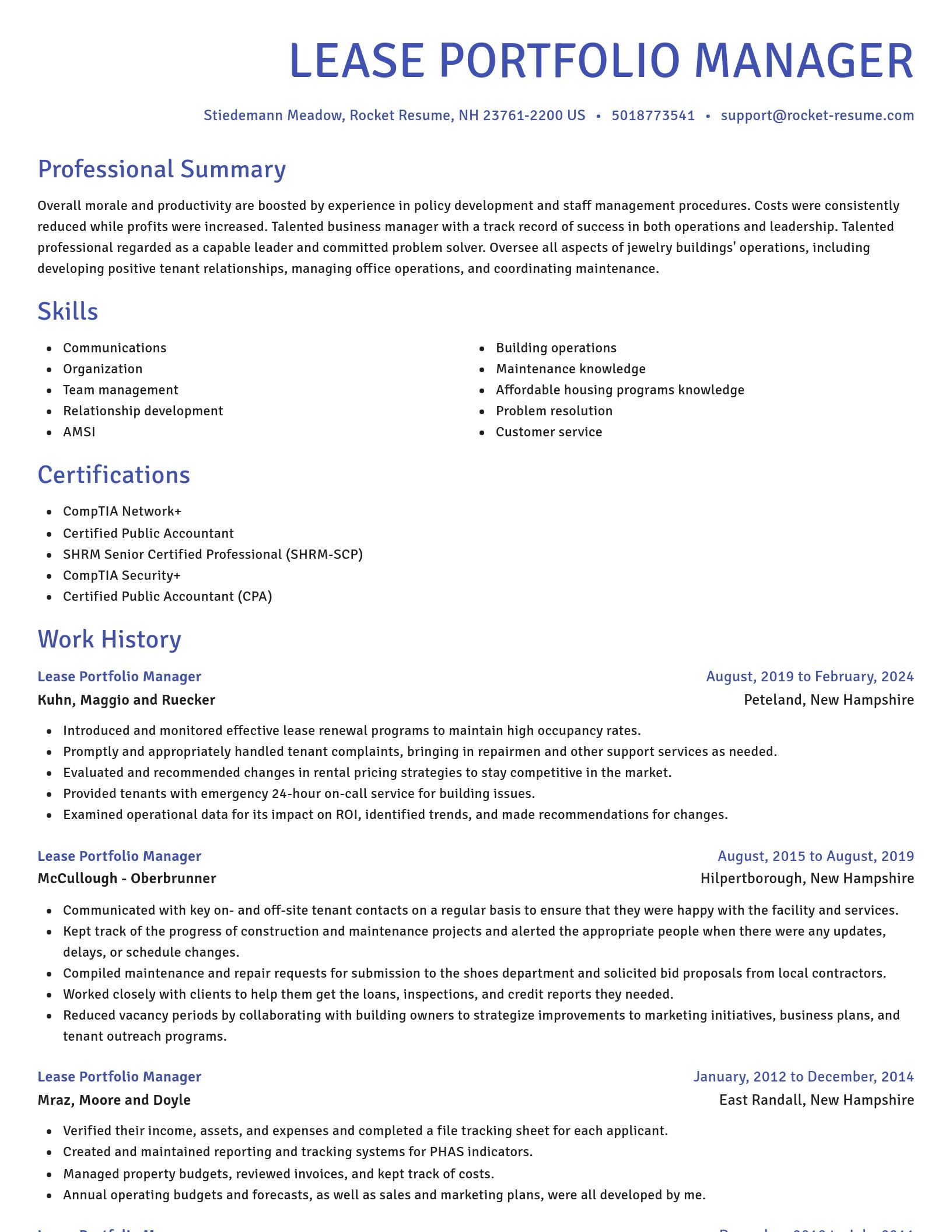 Novel resume template