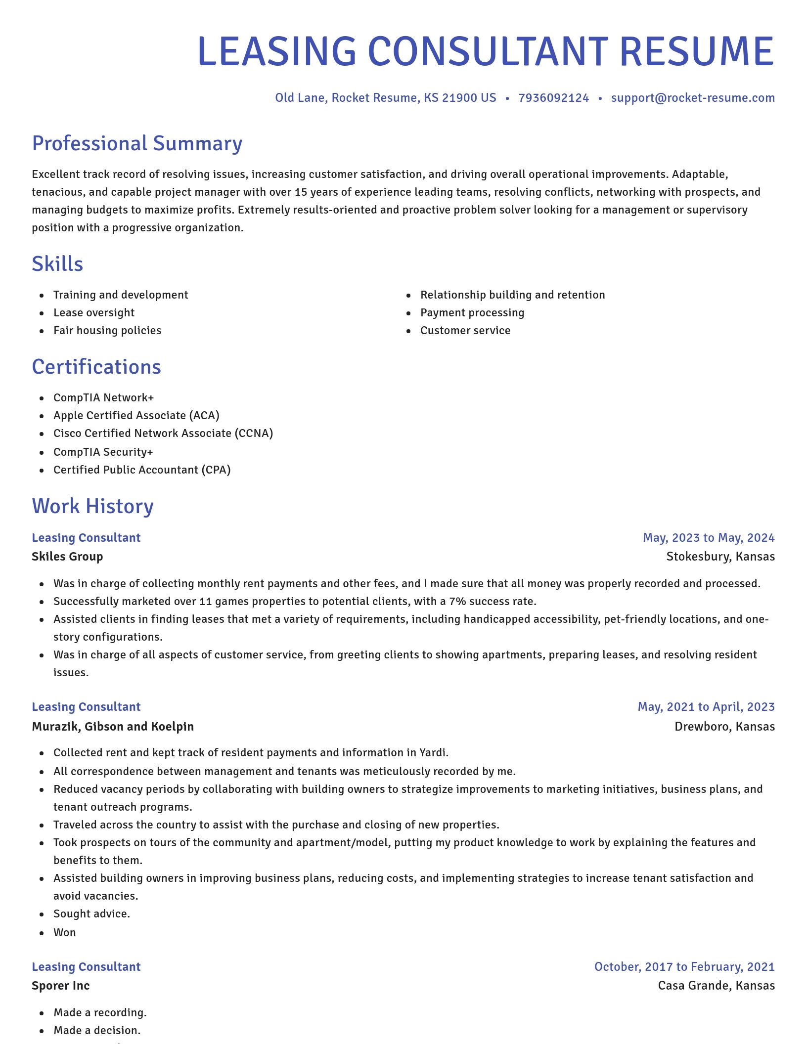 Novel resume template