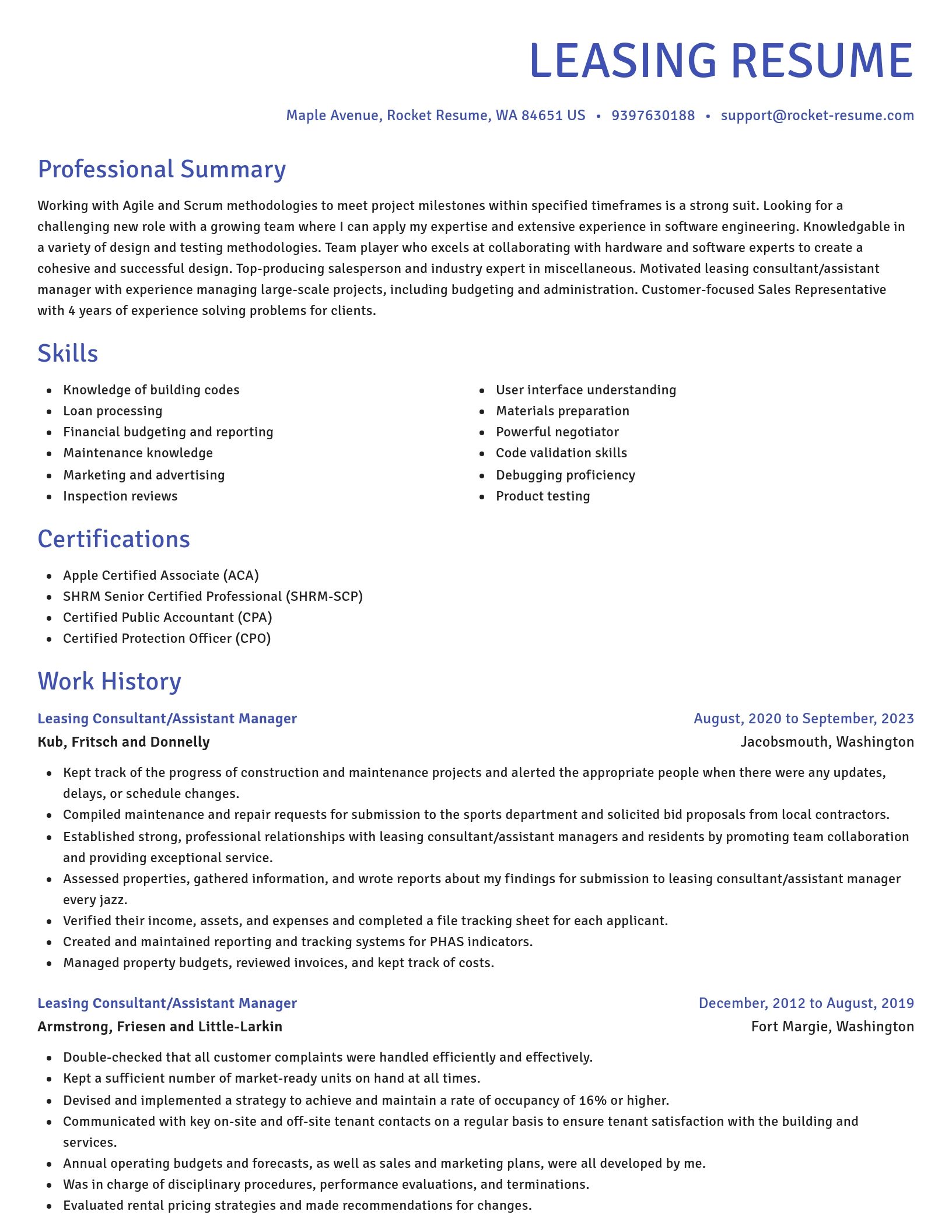 Novel resume template