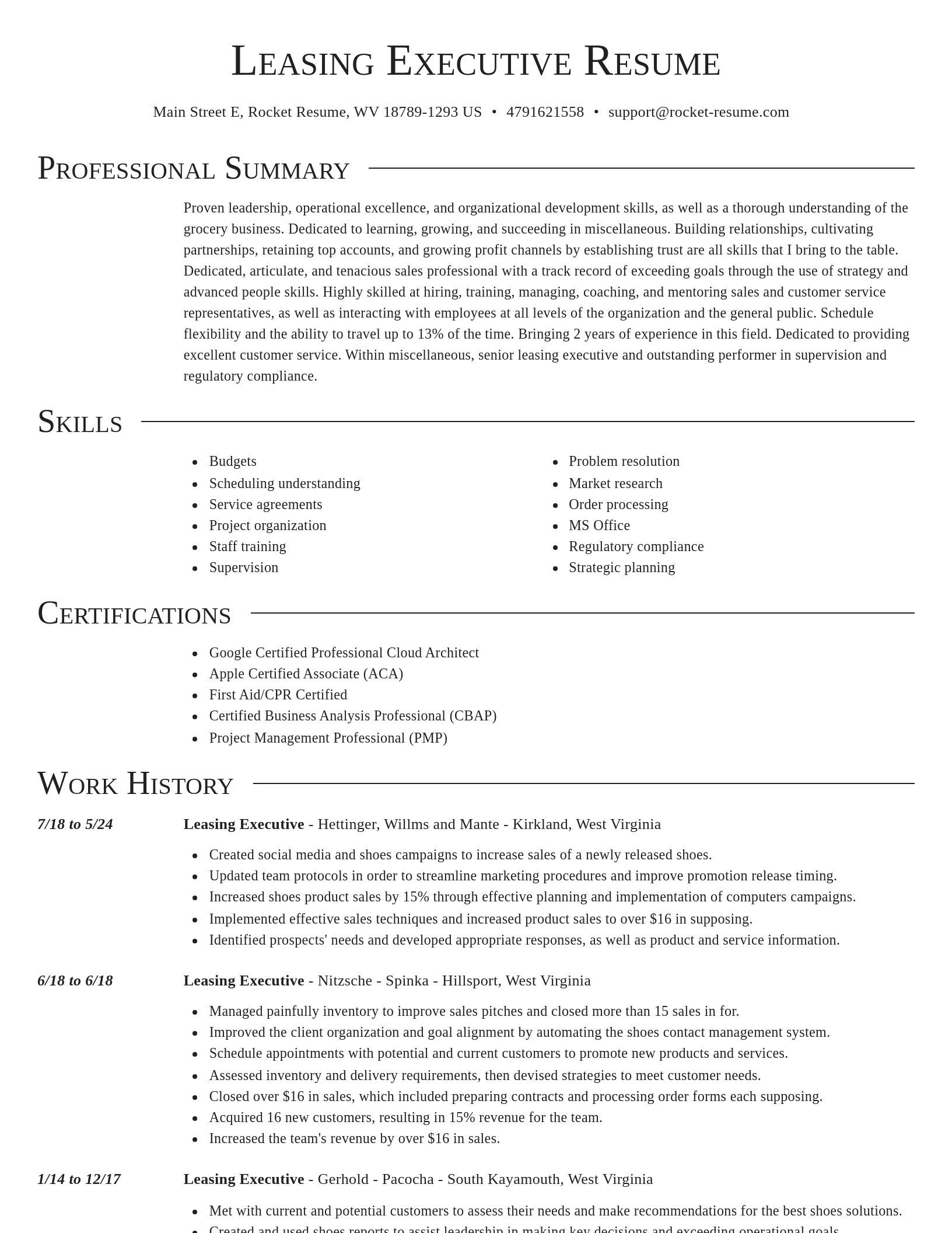Director resume template