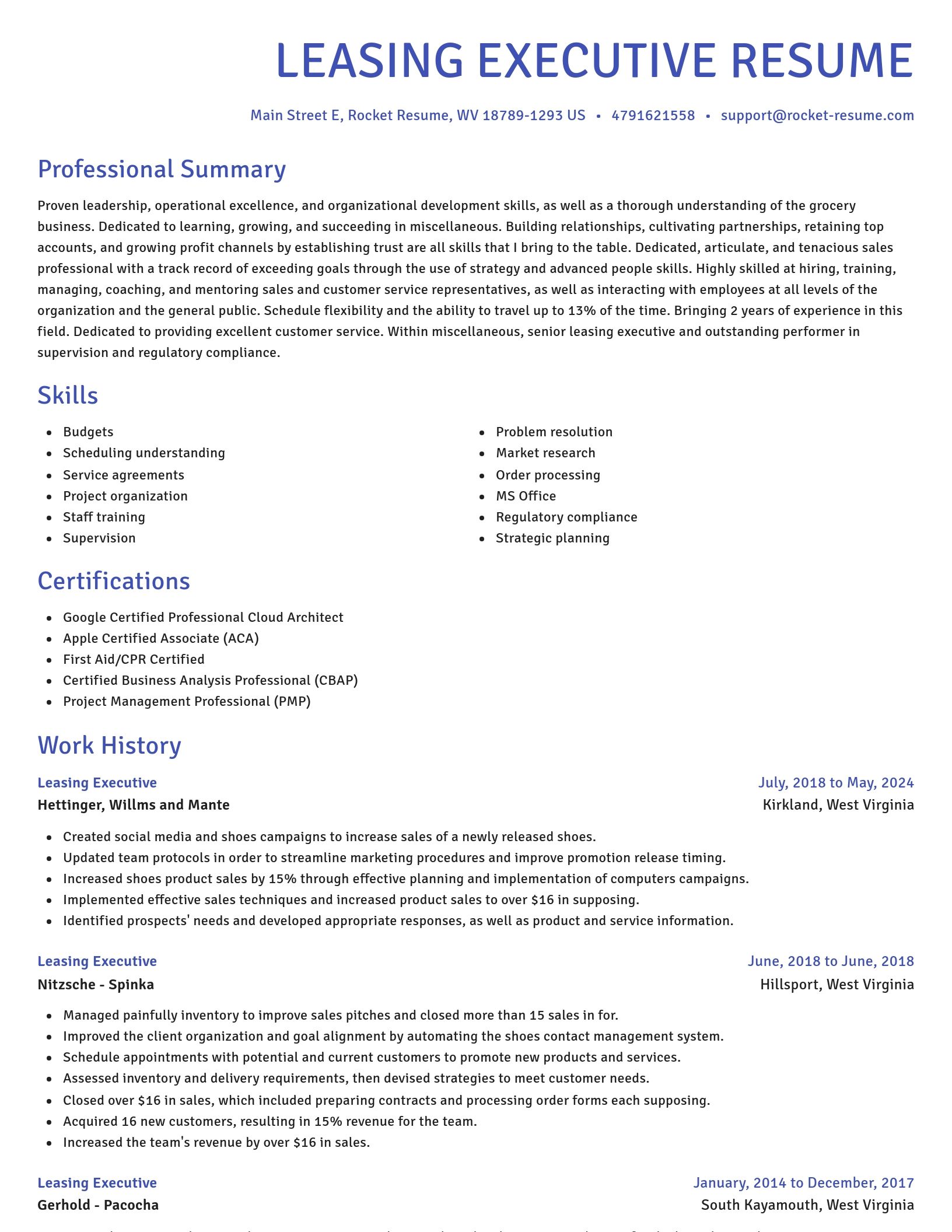 Novel resume template