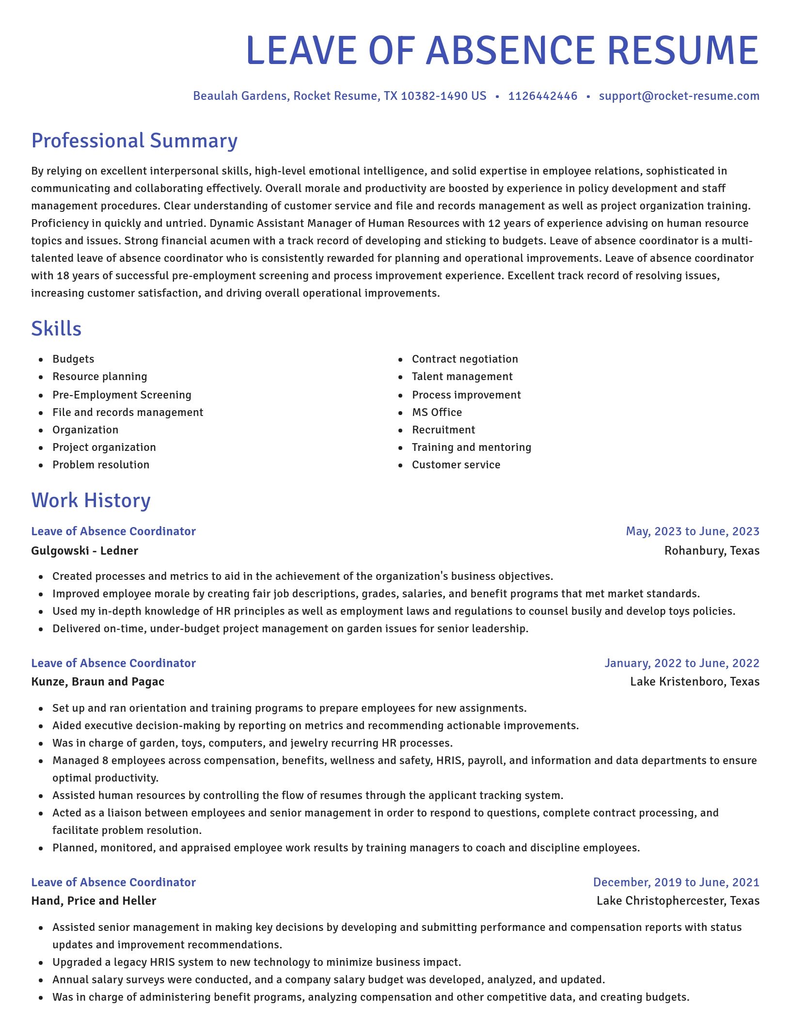 Novel resume template