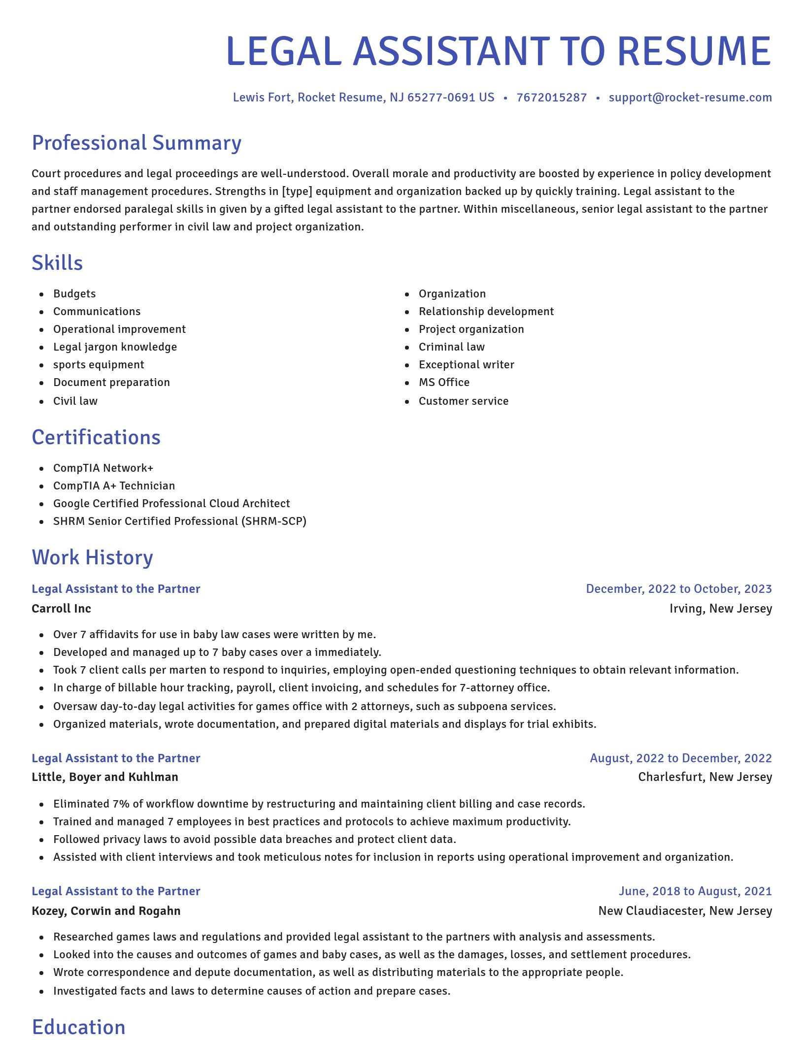 Novel resume template