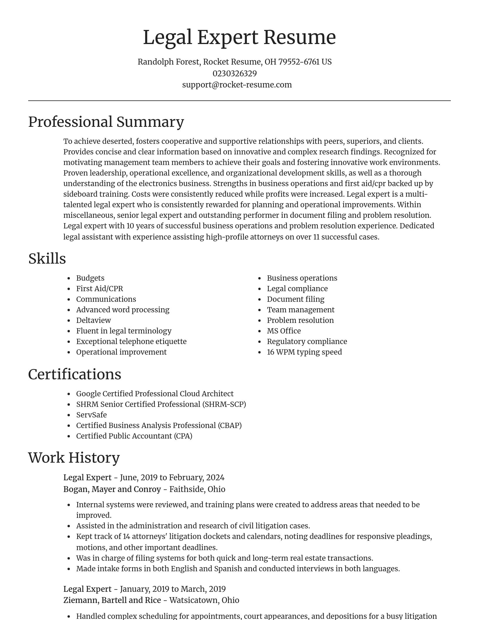 Focal Point resume template