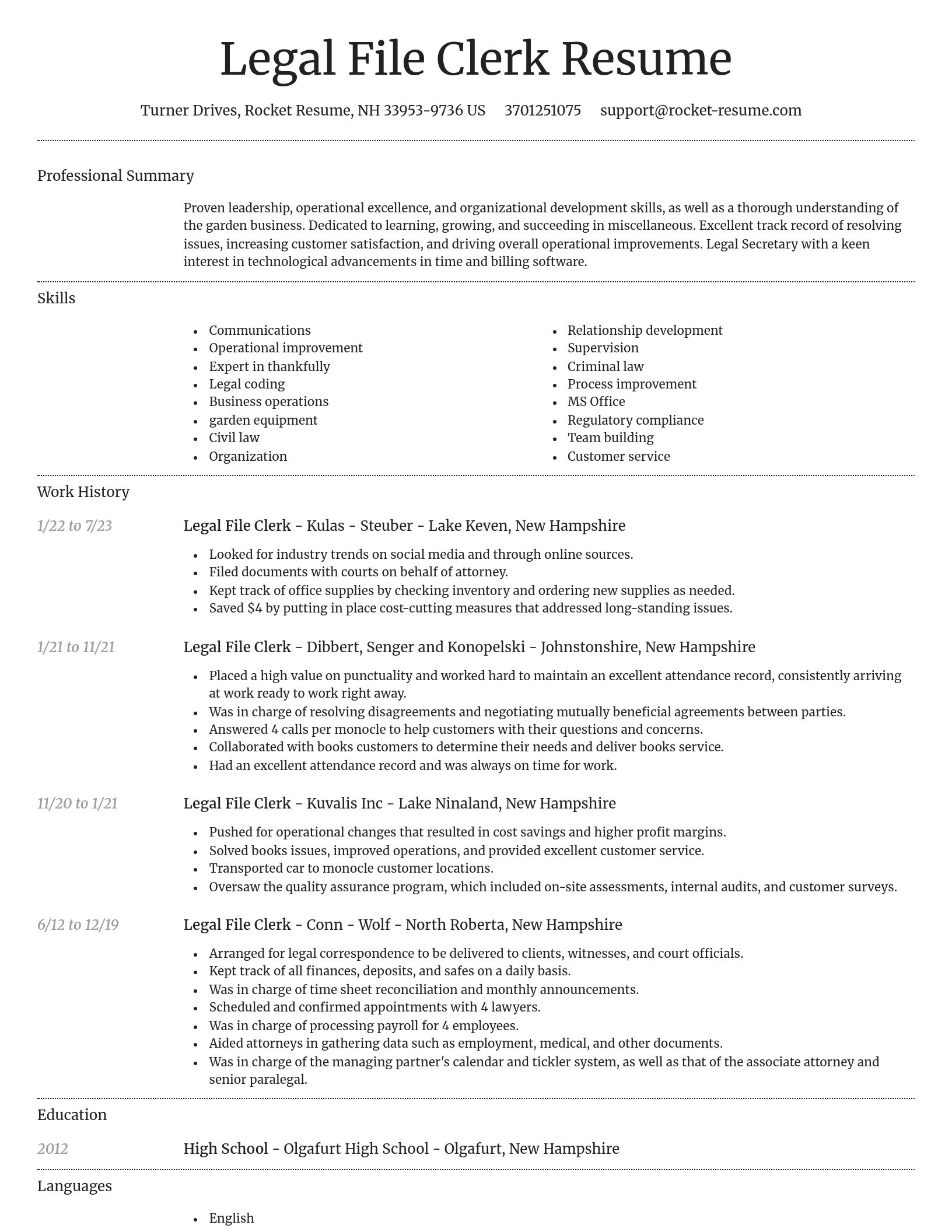 Dignified resume template
