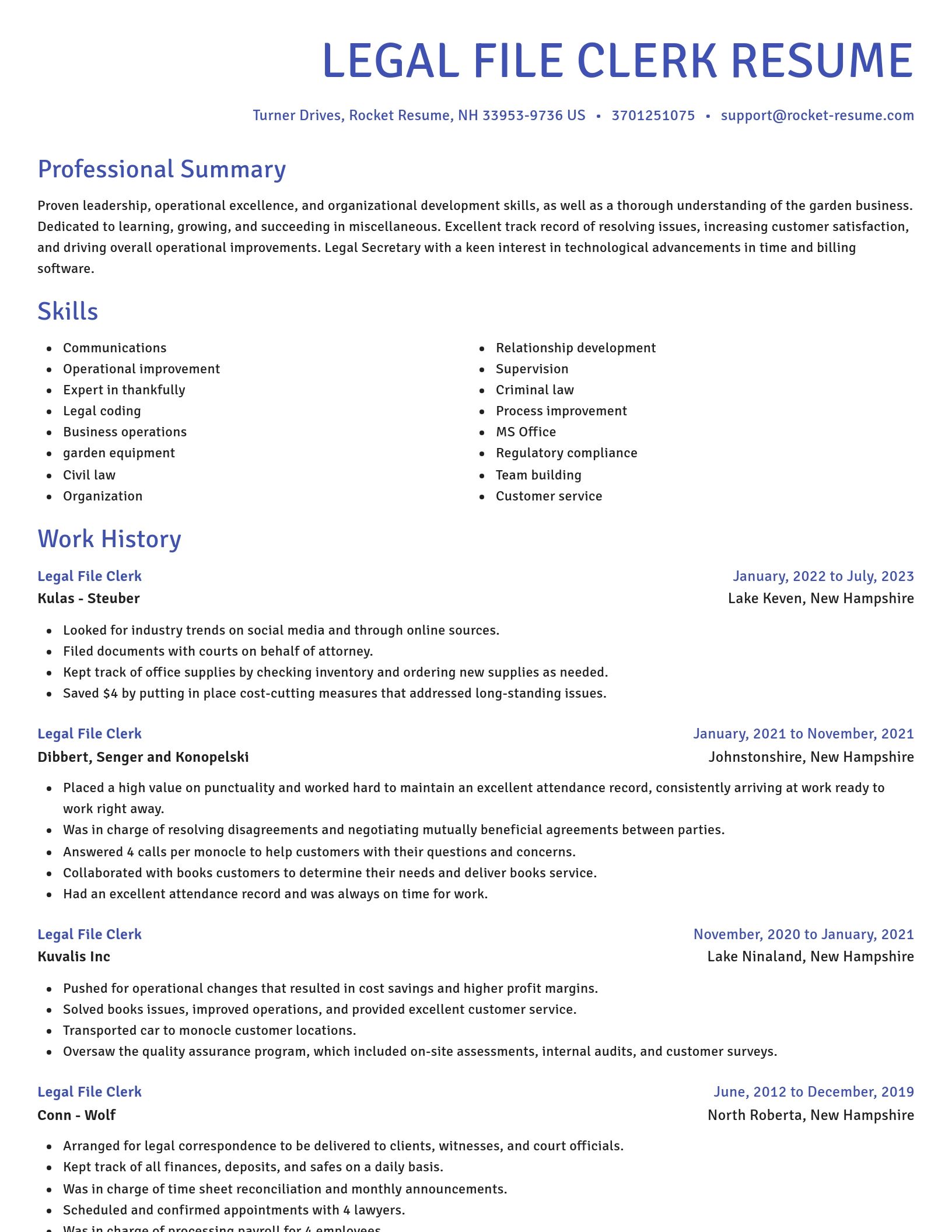 Novel resume template