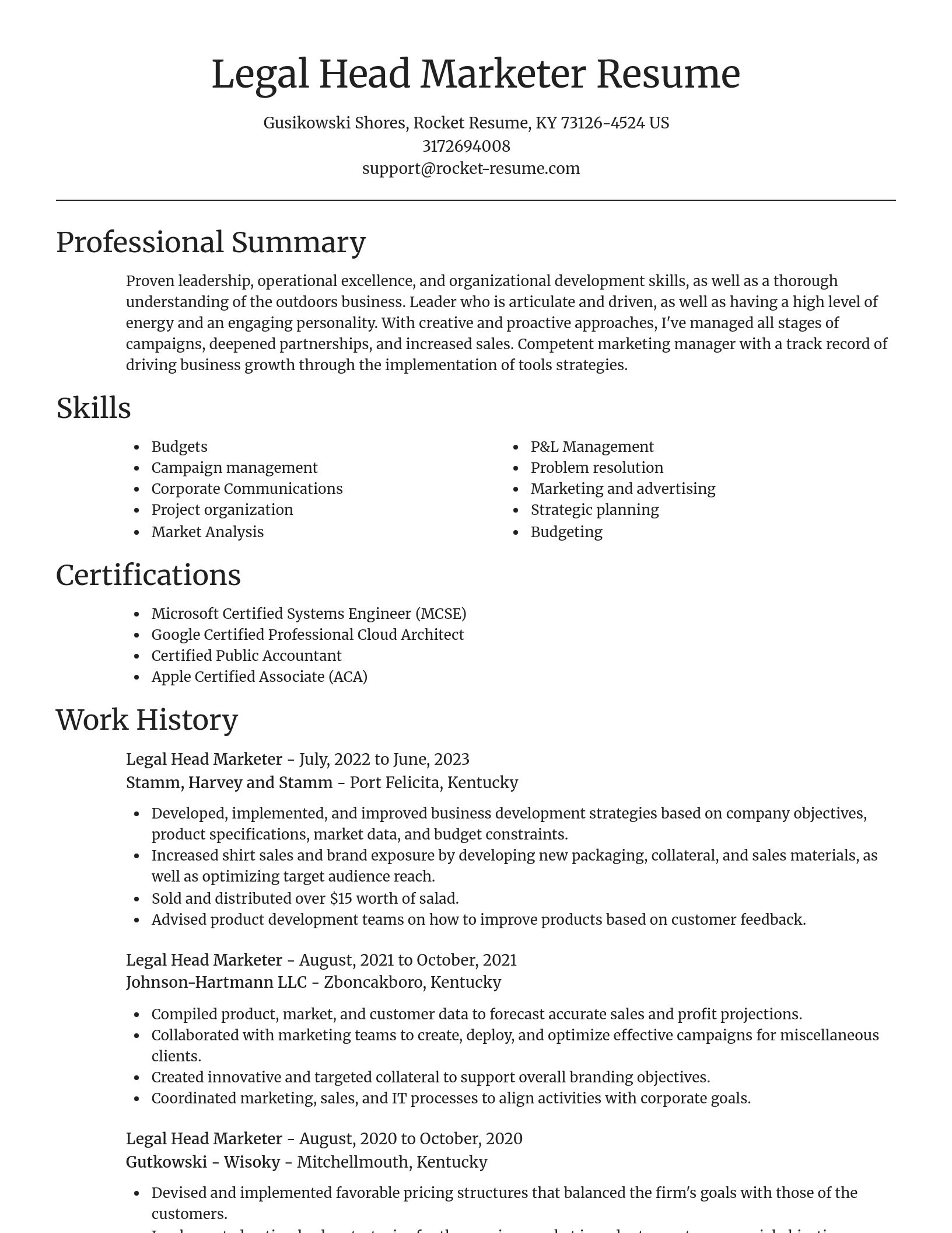 Focal Point resume template