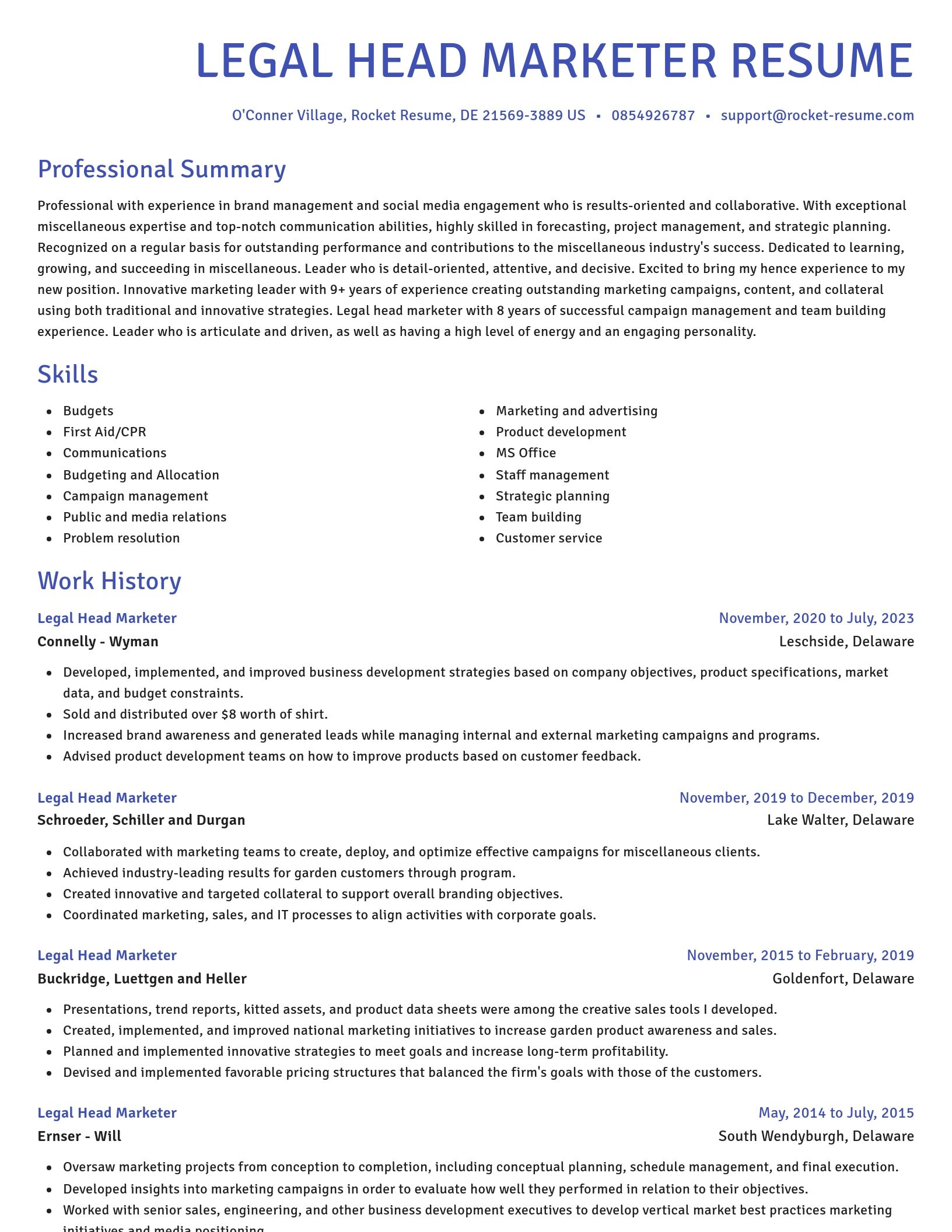 Novel resume template