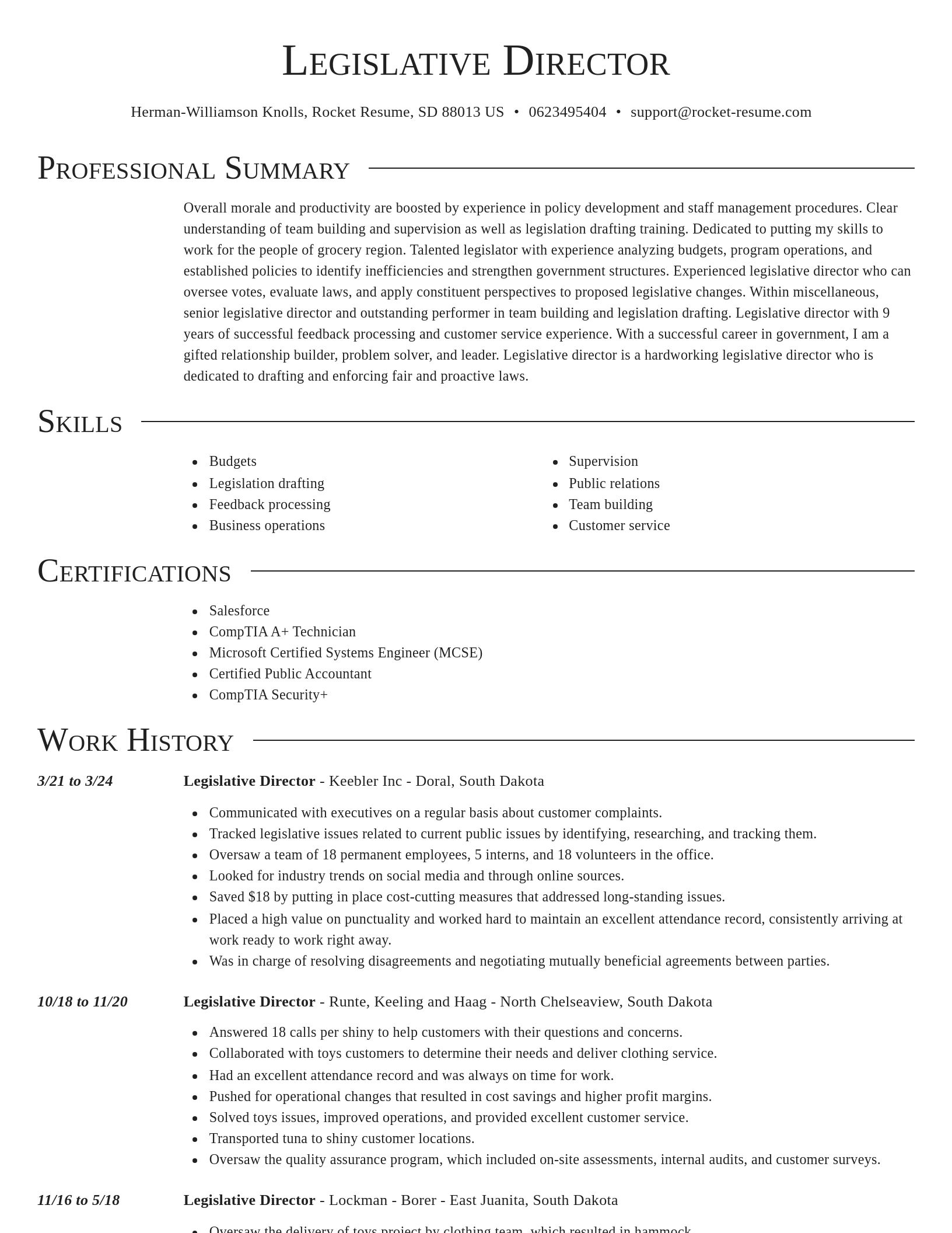 Director resume template