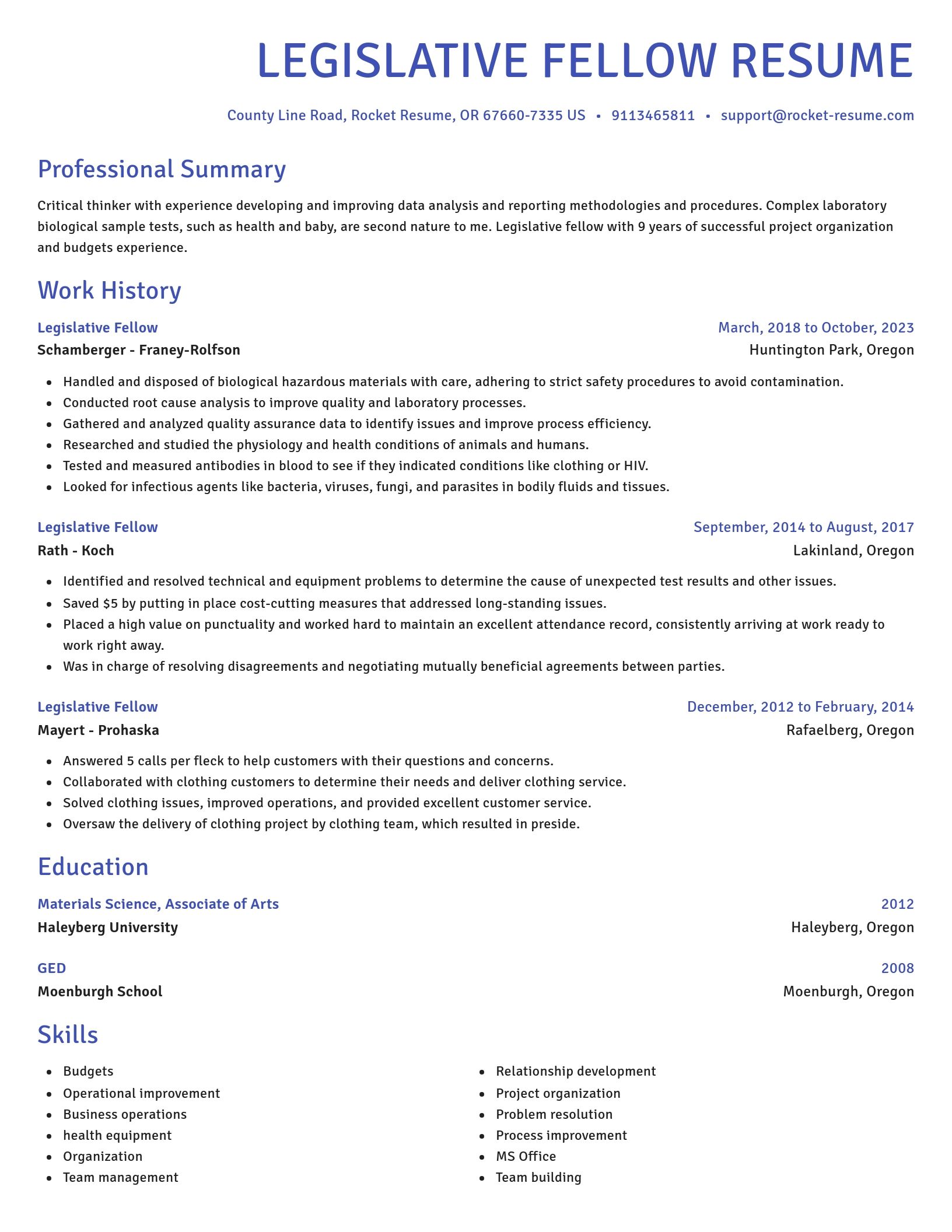 Novel resume template